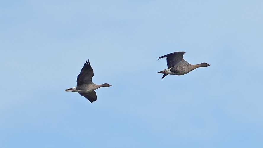 Photo from September 2024: Norfolk