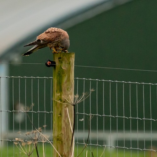 Photo from December 2023: Yorkshire