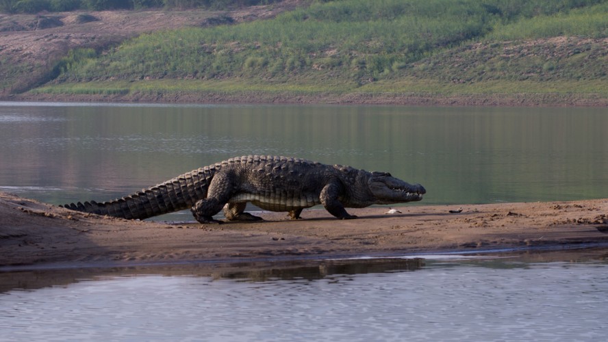 Cover for January 2014: Delhi, Uttar Pradesh & Rajasthan