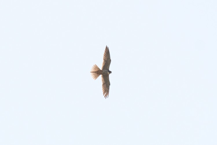 Photo from September 2021: Norfolk