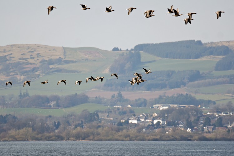 Photo from Spring 2022: Scotland