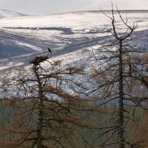 Photo from Spring 2022: Scotland