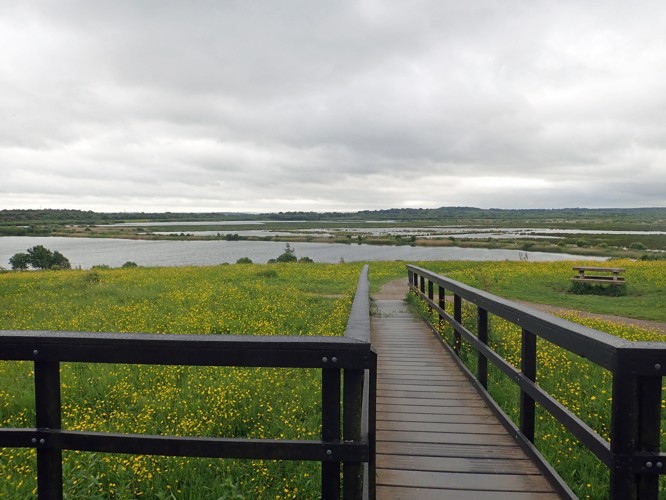 Photo from May 2024: Yorkshire