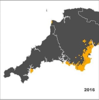 Photo from Autumn 2023: Devon & Cornwall