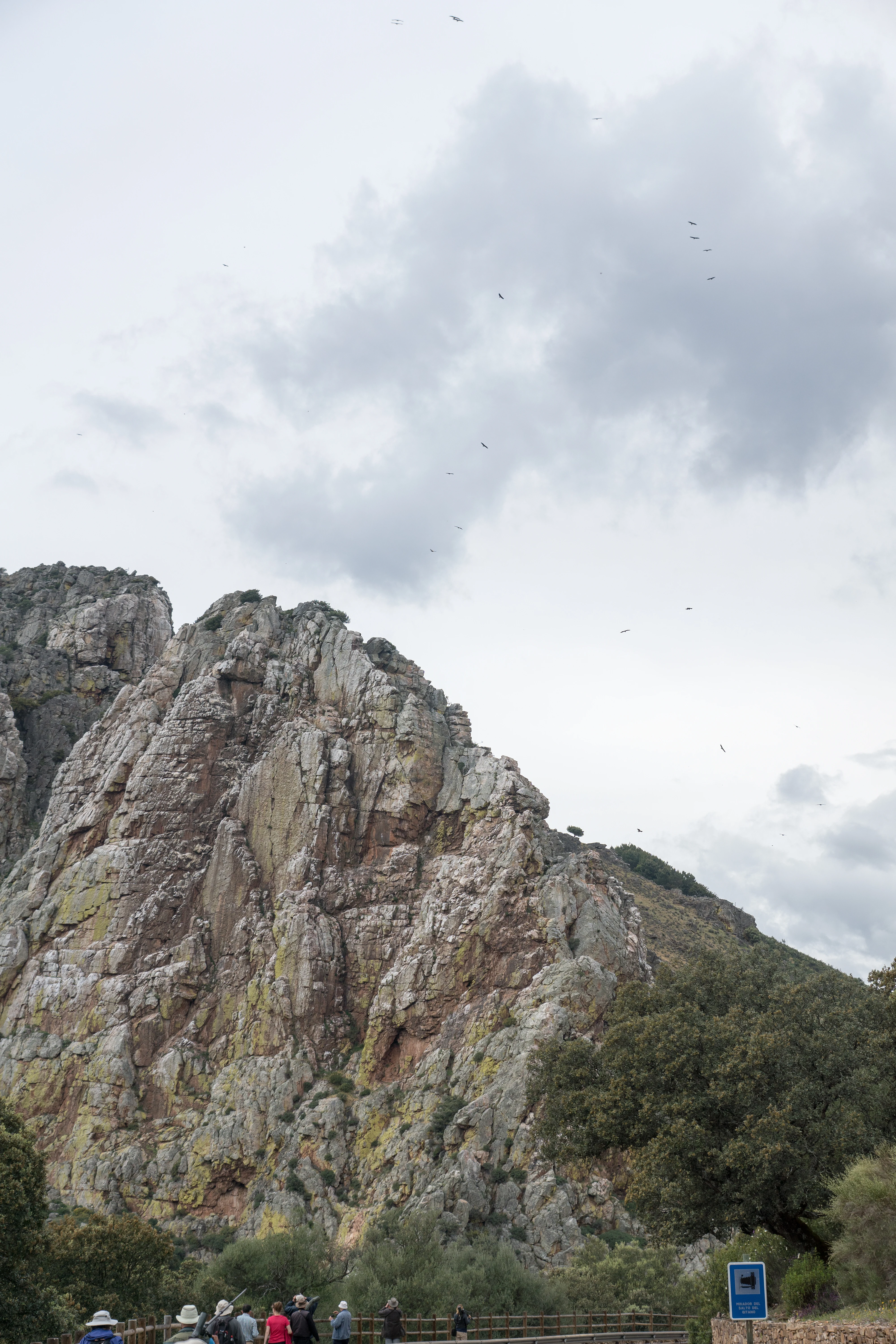 Vultures, Monfrague National Park, Extremadura, Spain — photo by Jim Bennett