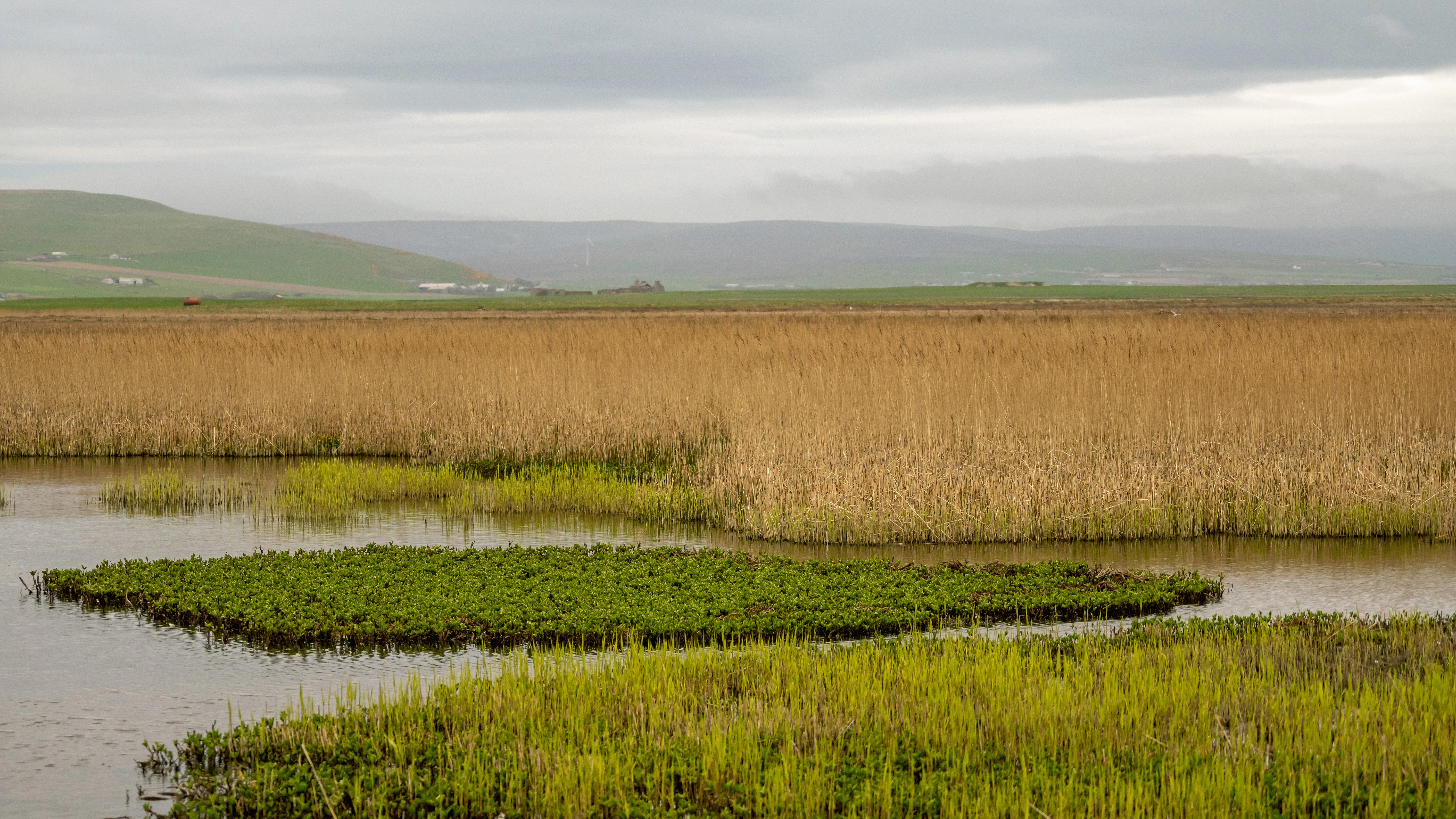 RSPB Loons reserve, RSPB Loons reserve, Orkney, UK — photo by Jim Bennett