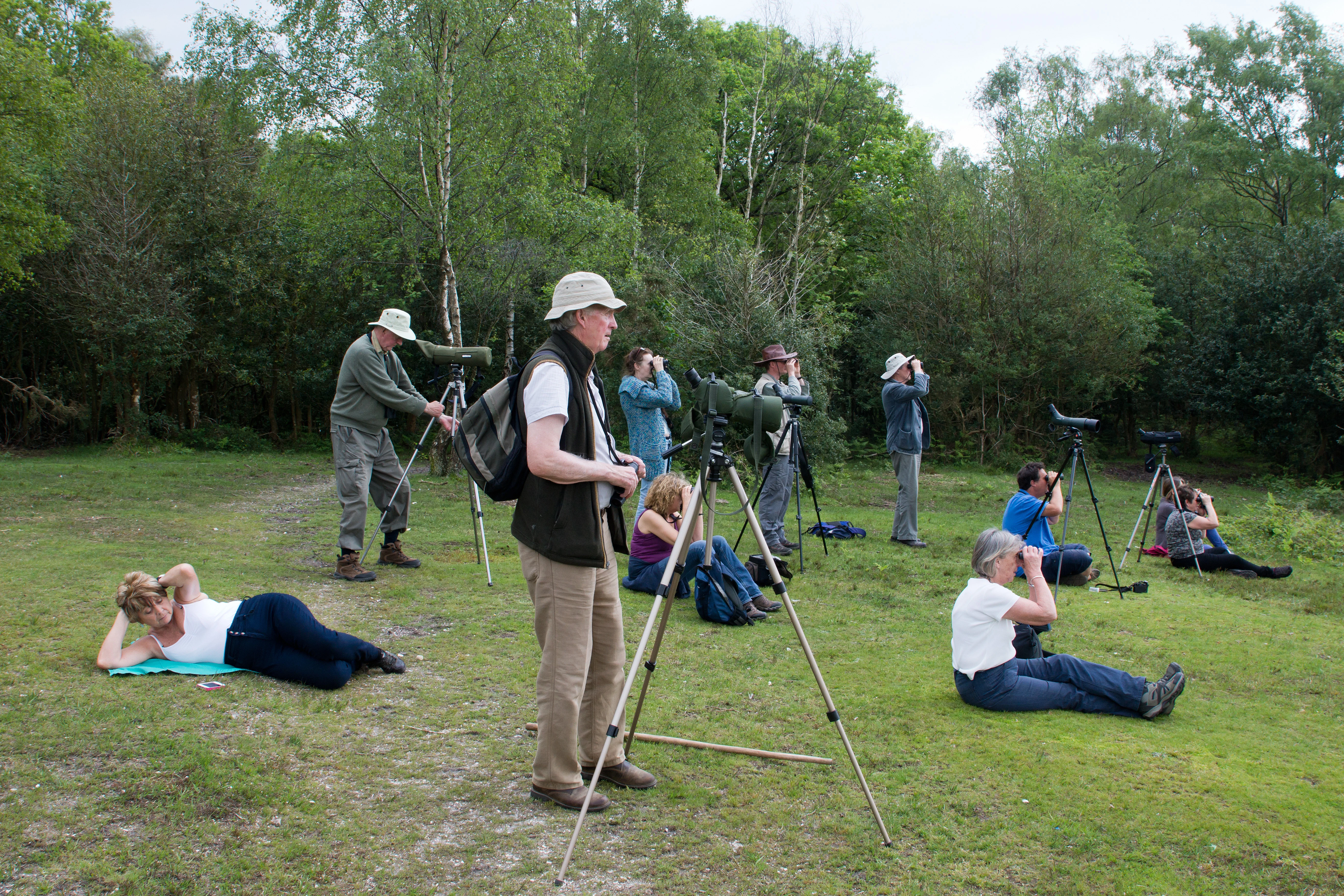 Raptor watching, Acres Down, New Forest, UK — photo by Jim Bennett