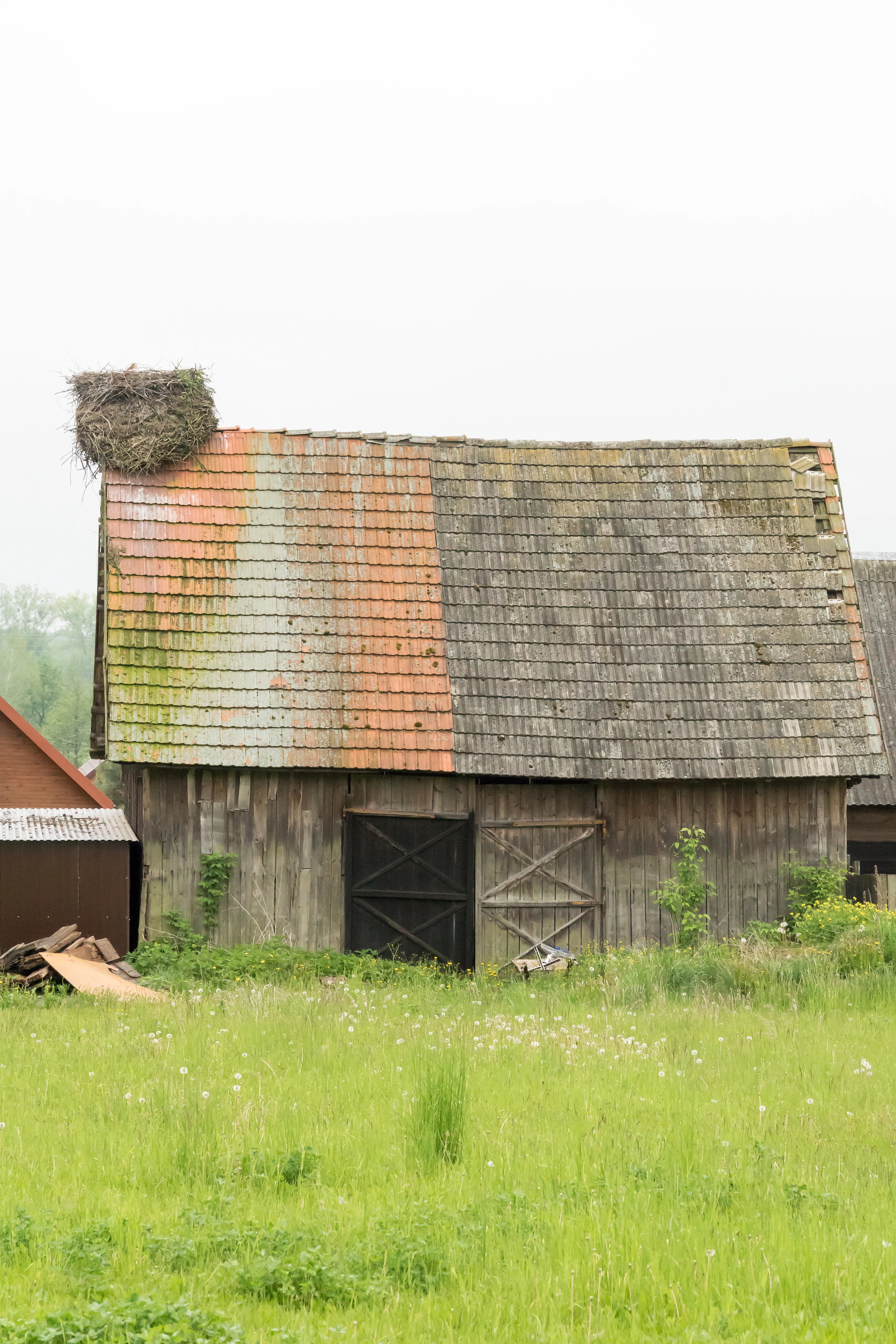 White Stork's nest, Bialowieza, Poland — photo by Jim Bennett