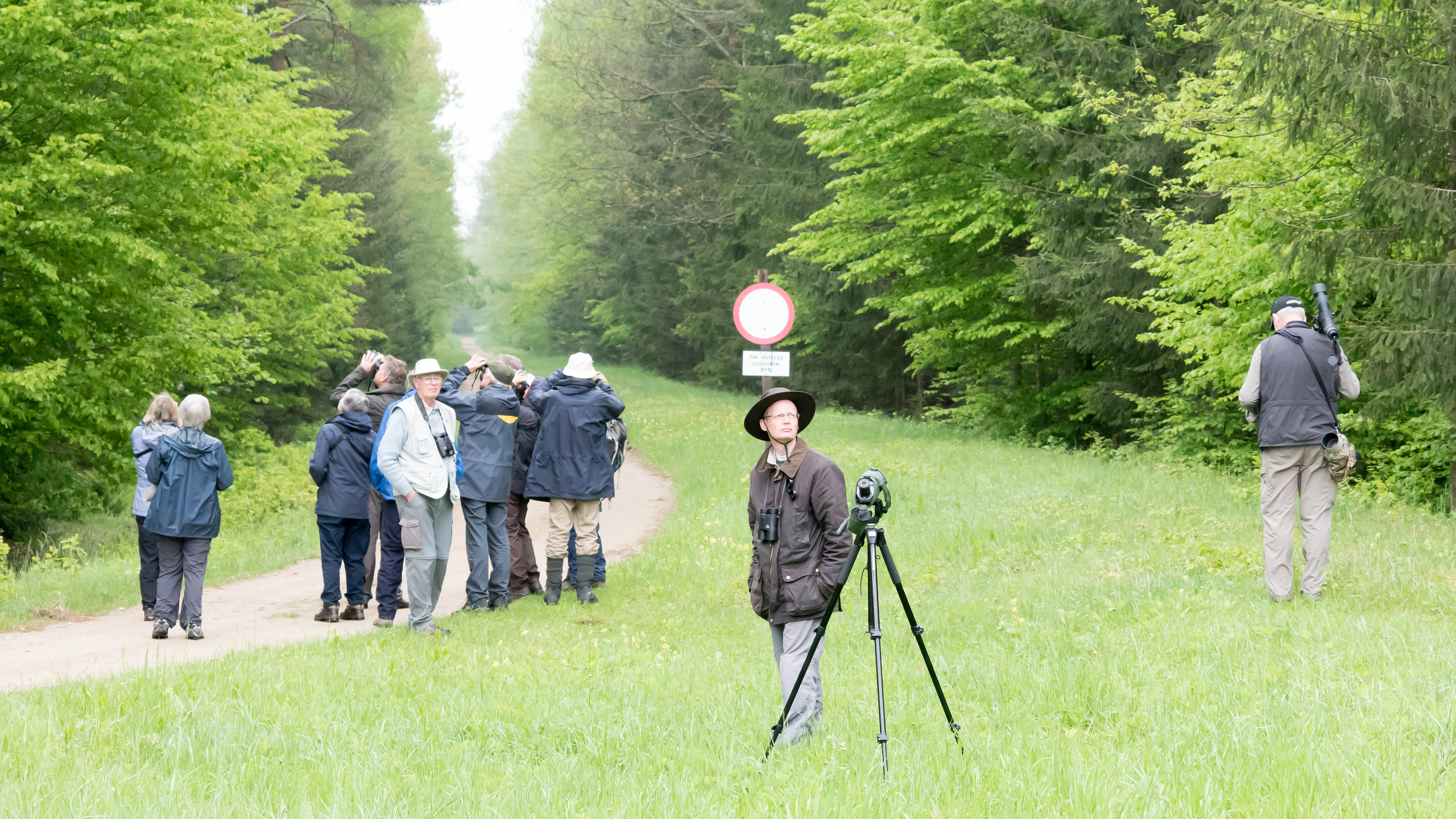 Looking for Woodpeckers, Bialowieza, Poland — photo by Jim Bennett