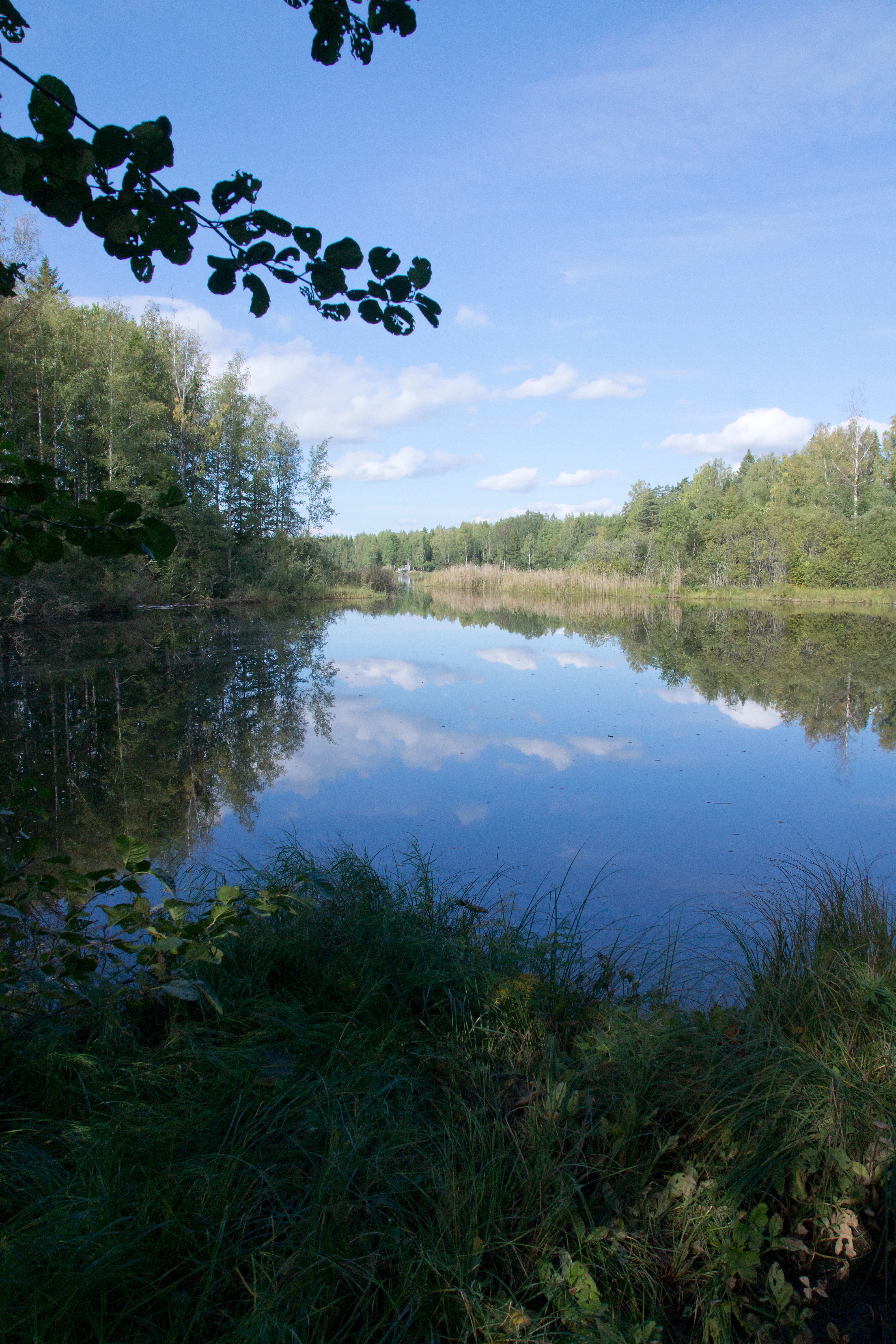 DSC02104, Farna Eco Park, Sweden — photo by Jim Bennett
