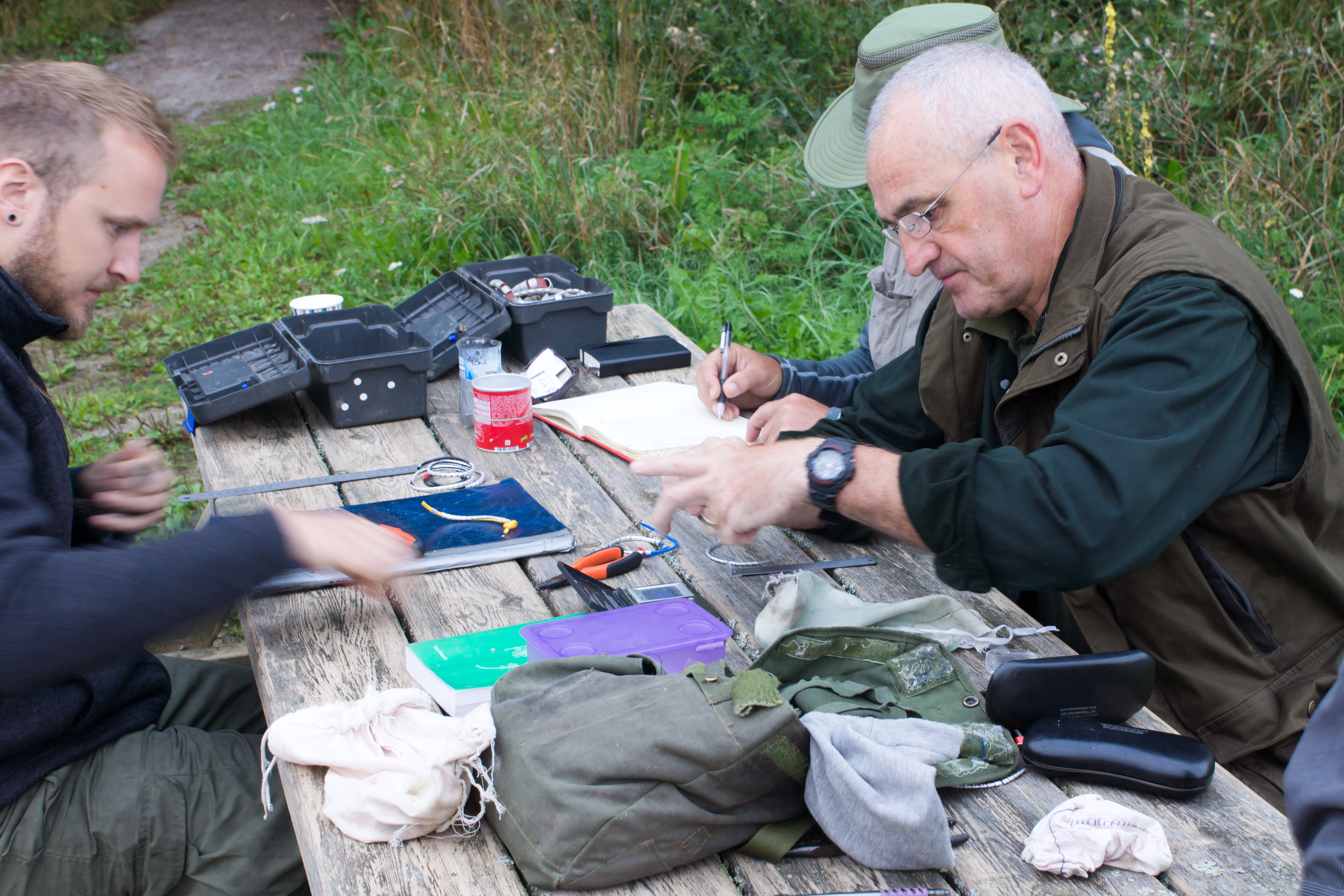 Early morning ringing, Kvismare, Sweden — photo by Jim Bennett