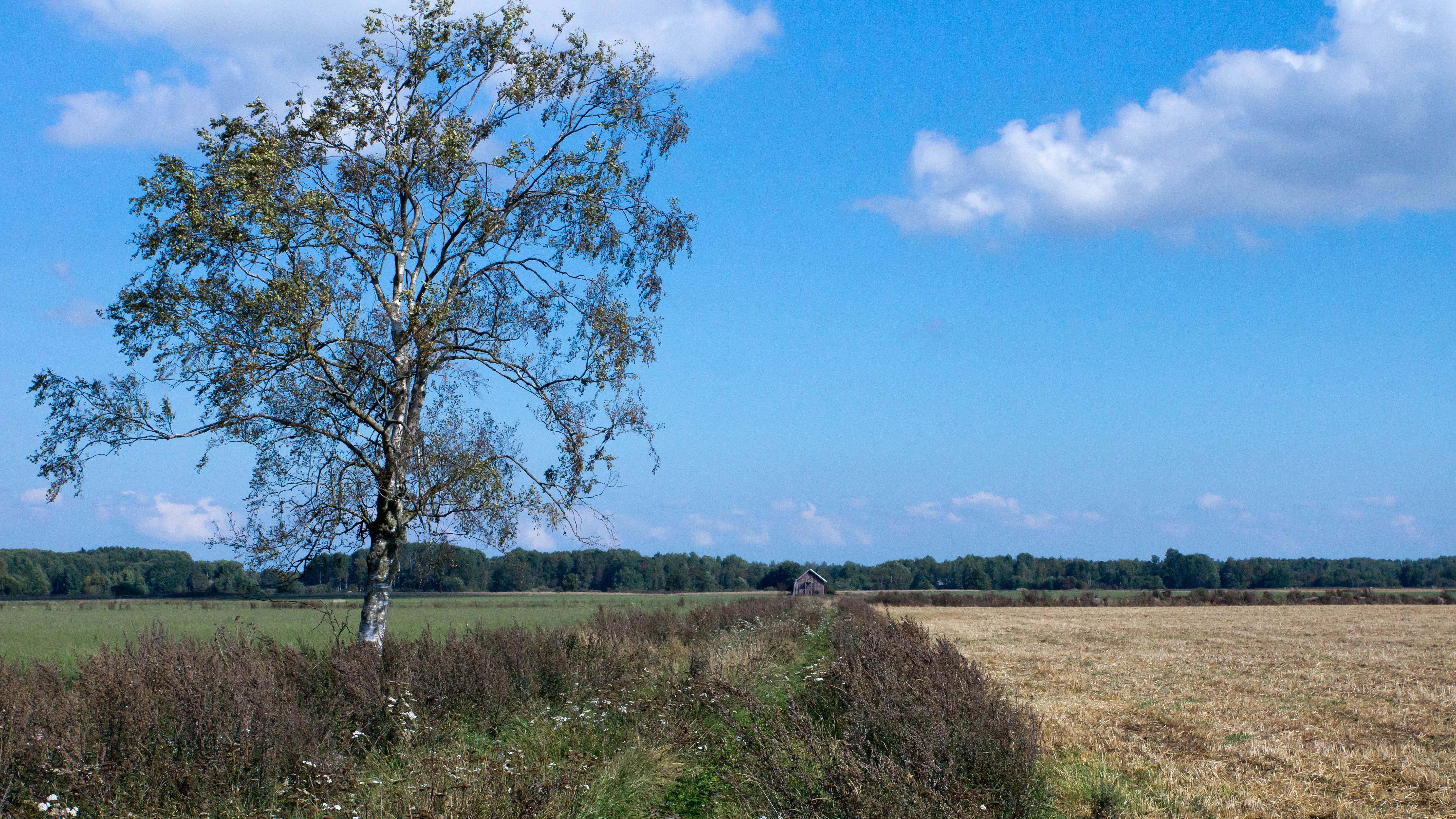 DSC02294, Kvismare, Sweden — photo by Jim Bennett