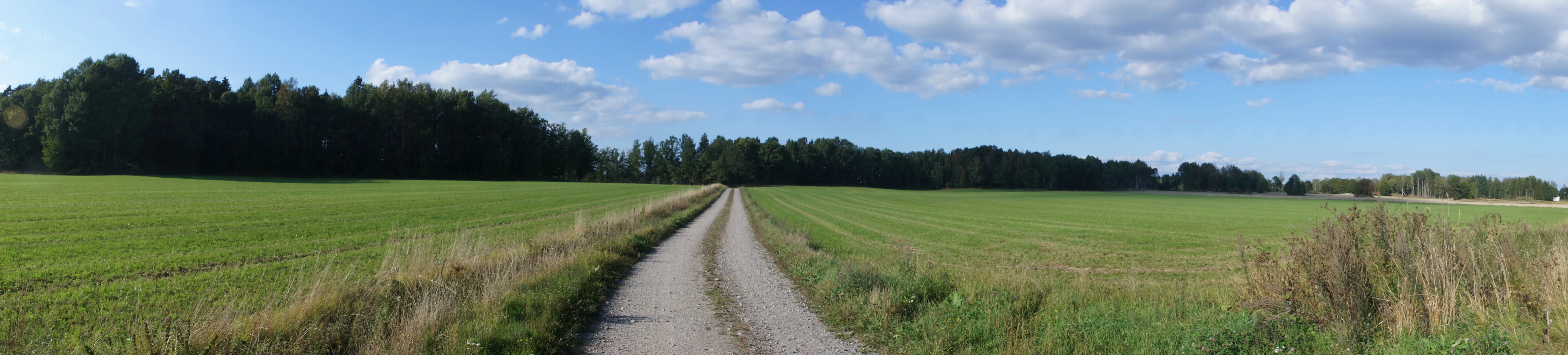 View from our b & b, Sorby Sateri, Sweden — photo by Jim Bennett