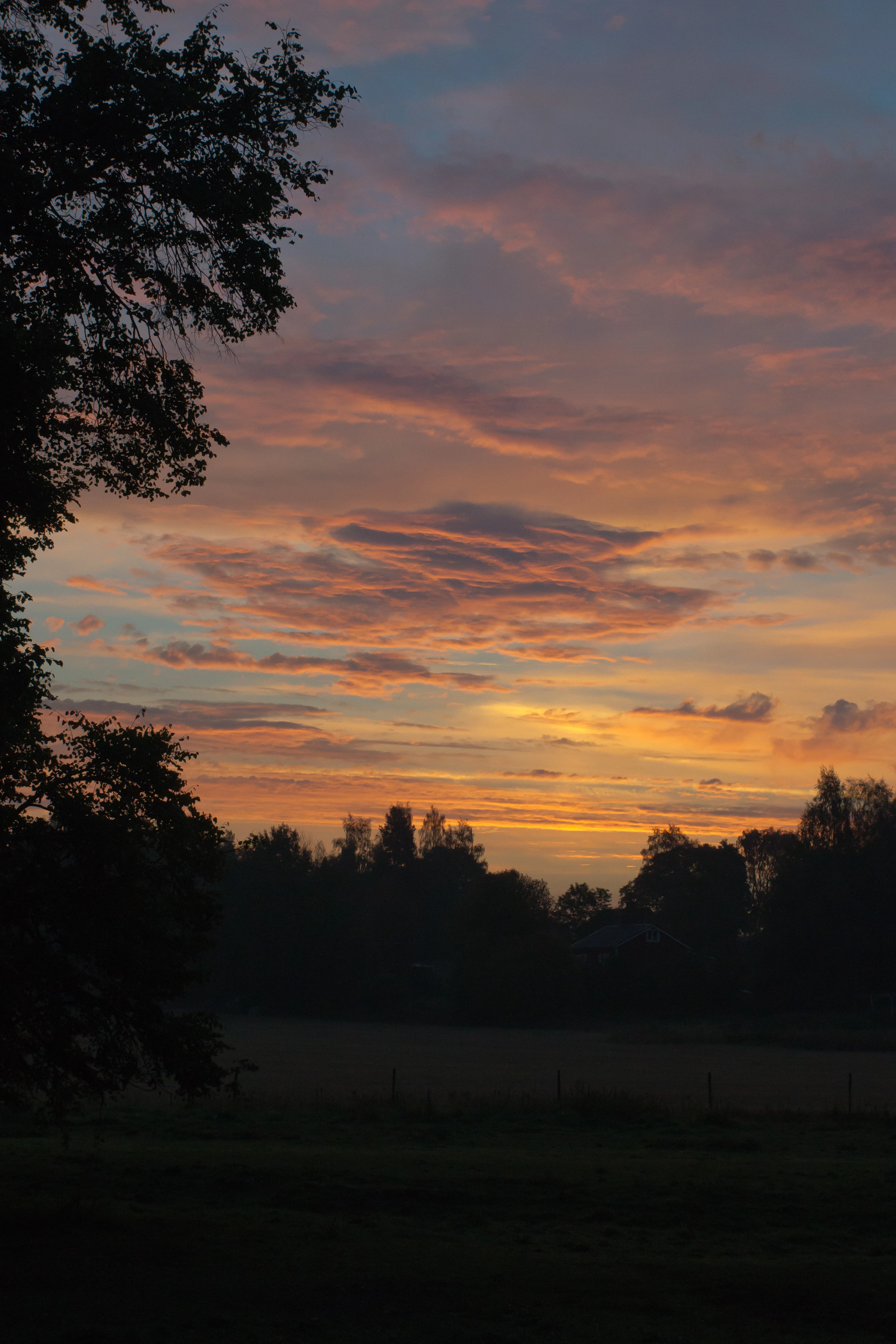 Dawn start, Sorby Sateri, Sweden — photo by Jim Bennett