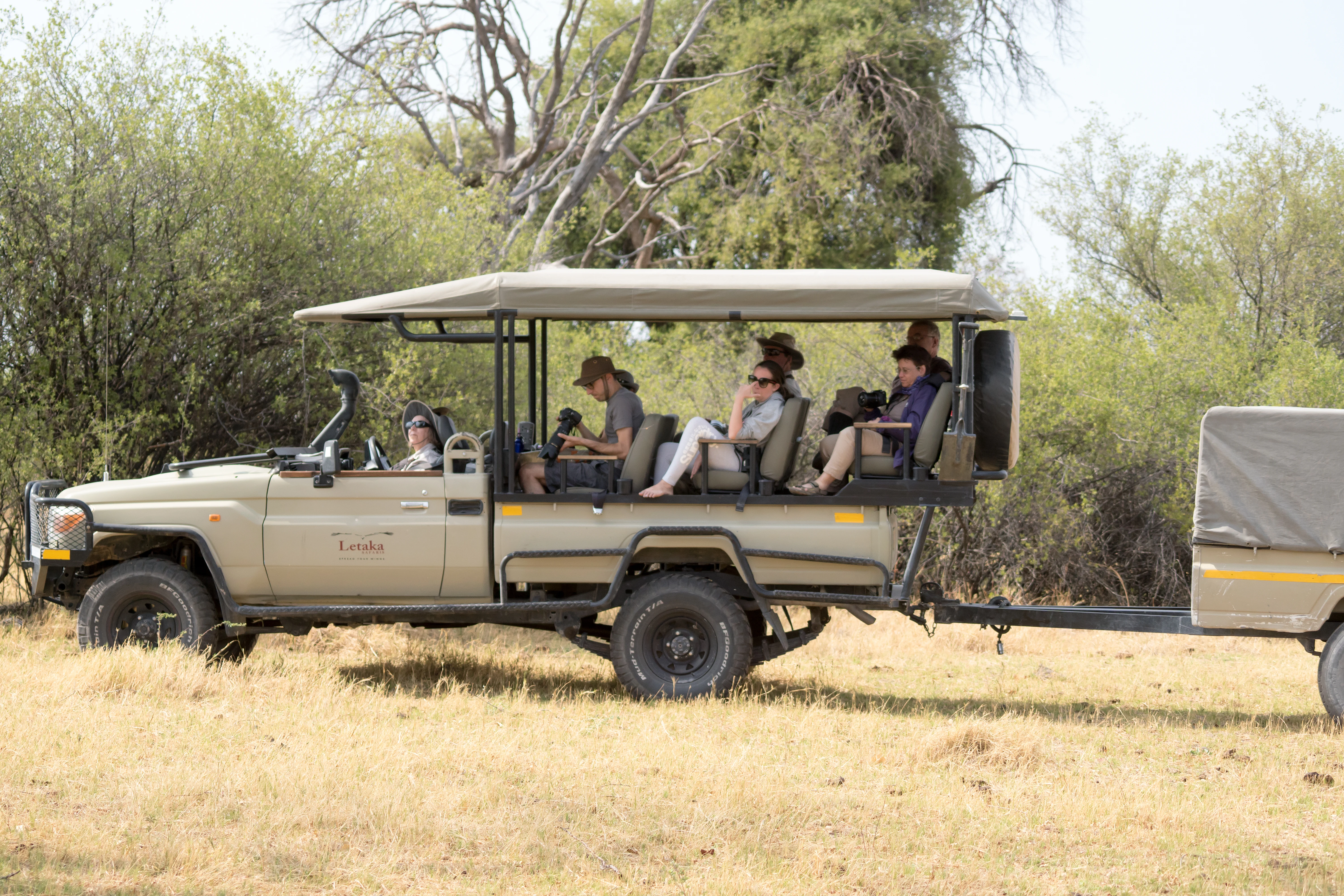 Landcruiser and lions, Khwai to Moremi, Botswana — photo by Jim Bennett