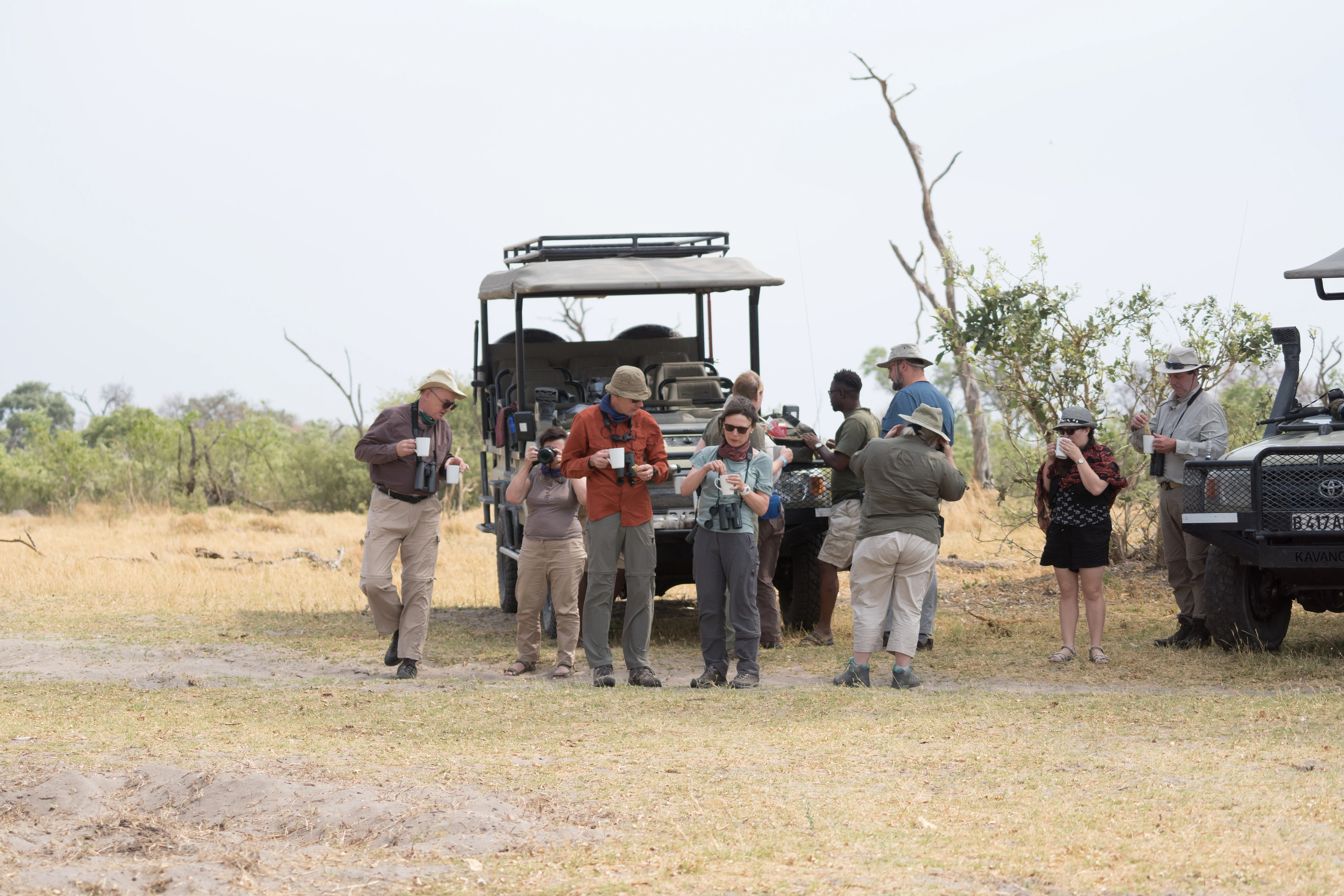 Morning tea, Khwai to Moremi, Botswana — photo by Jim Bennett