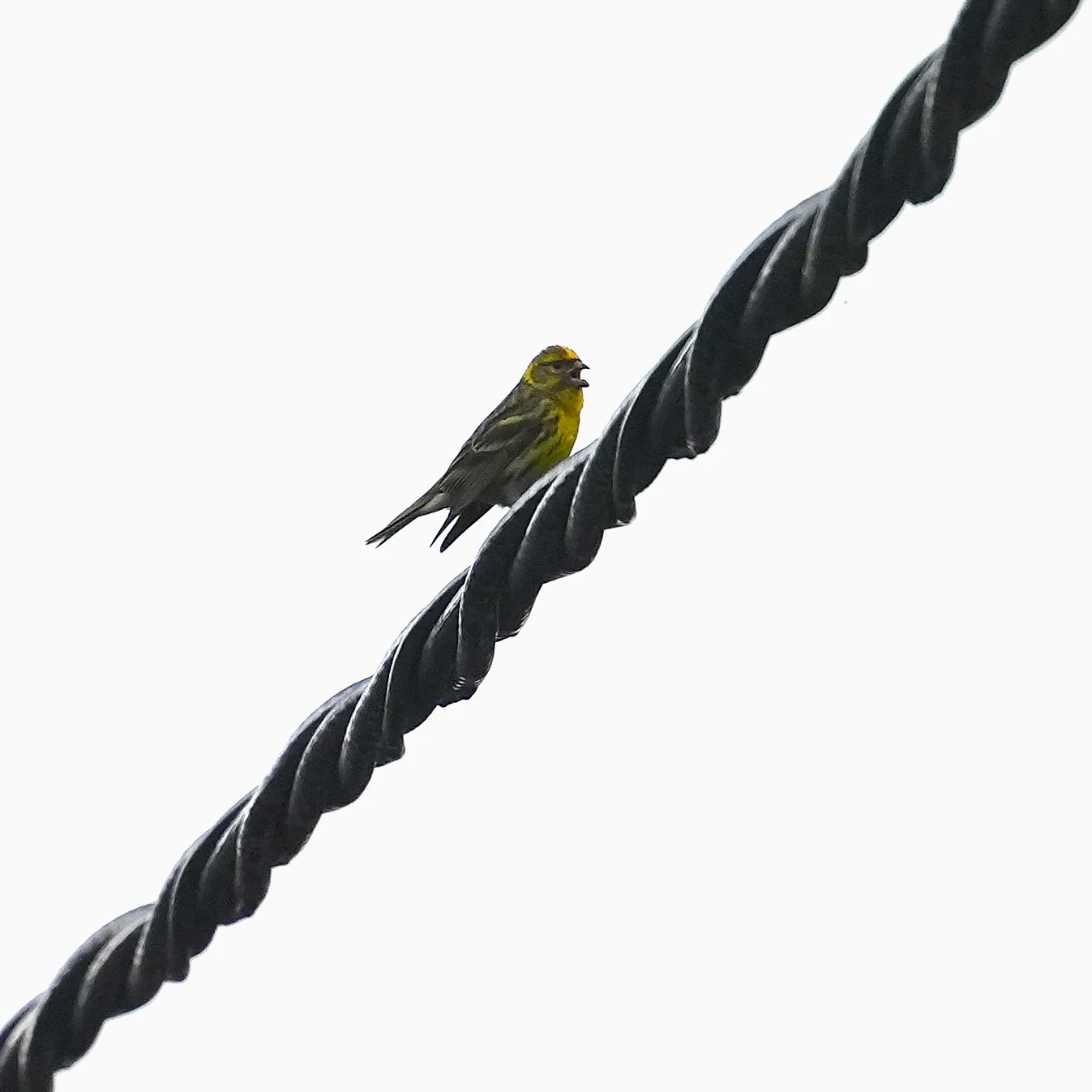 Serin, Bran, Transylvania, Romania — photo by Jim Bennett
