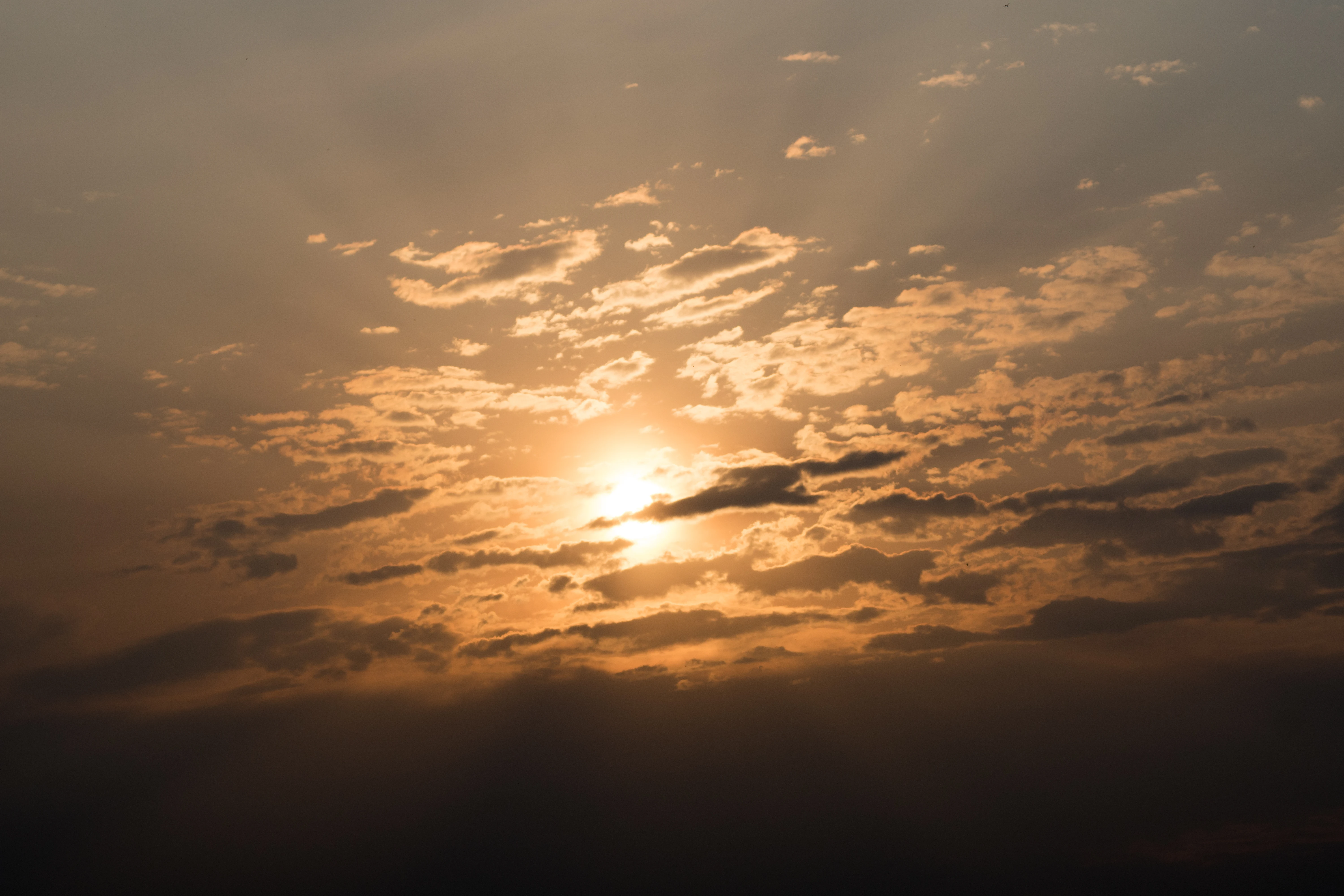 Setting sun, Moremi Game Reserve, Botswana — photo by Jim Bennett