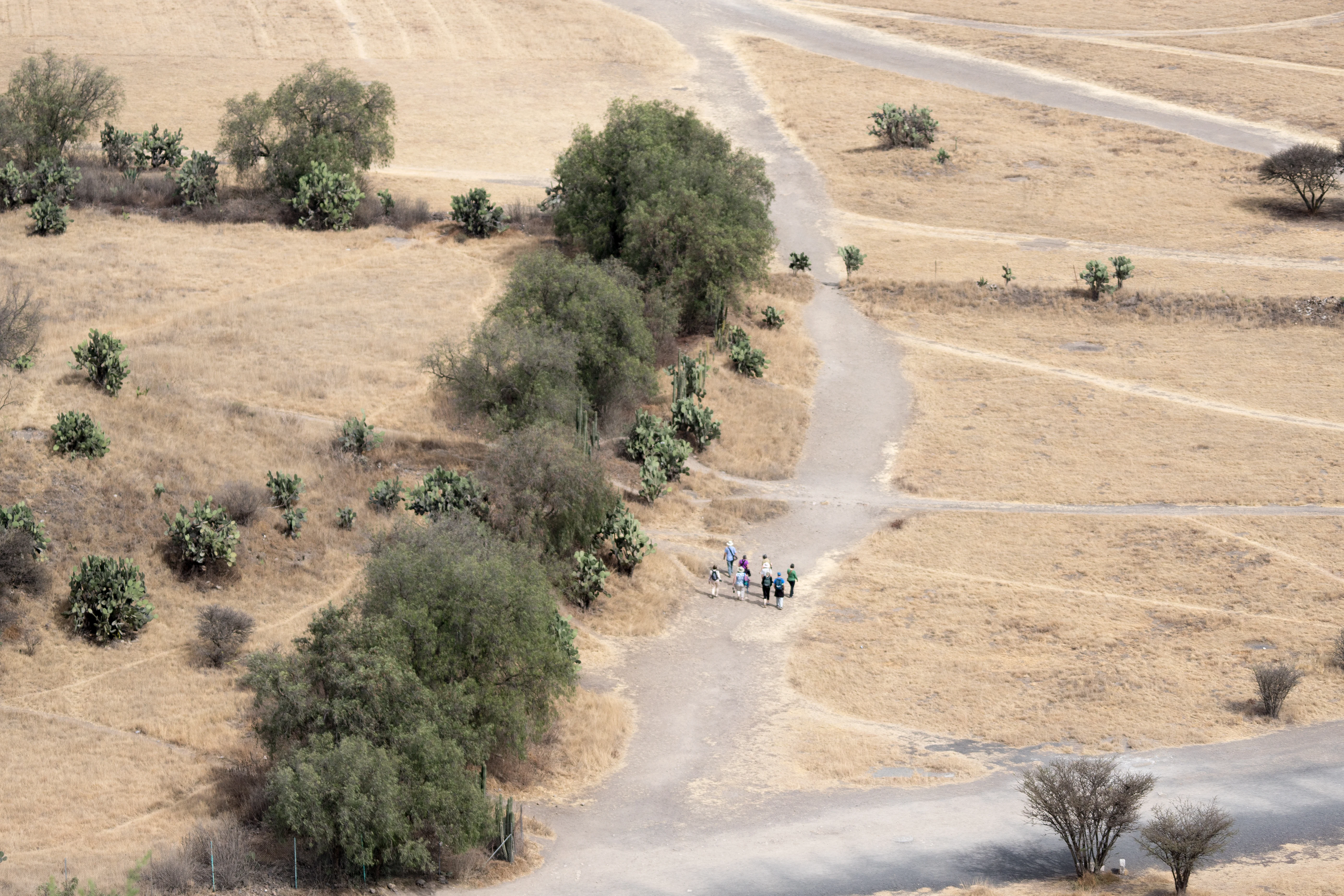 Part of the group, viewed from the Pyramid of the Sun, Teotihuacan, State of Mexico, Mexico — photo by Jim Bennett