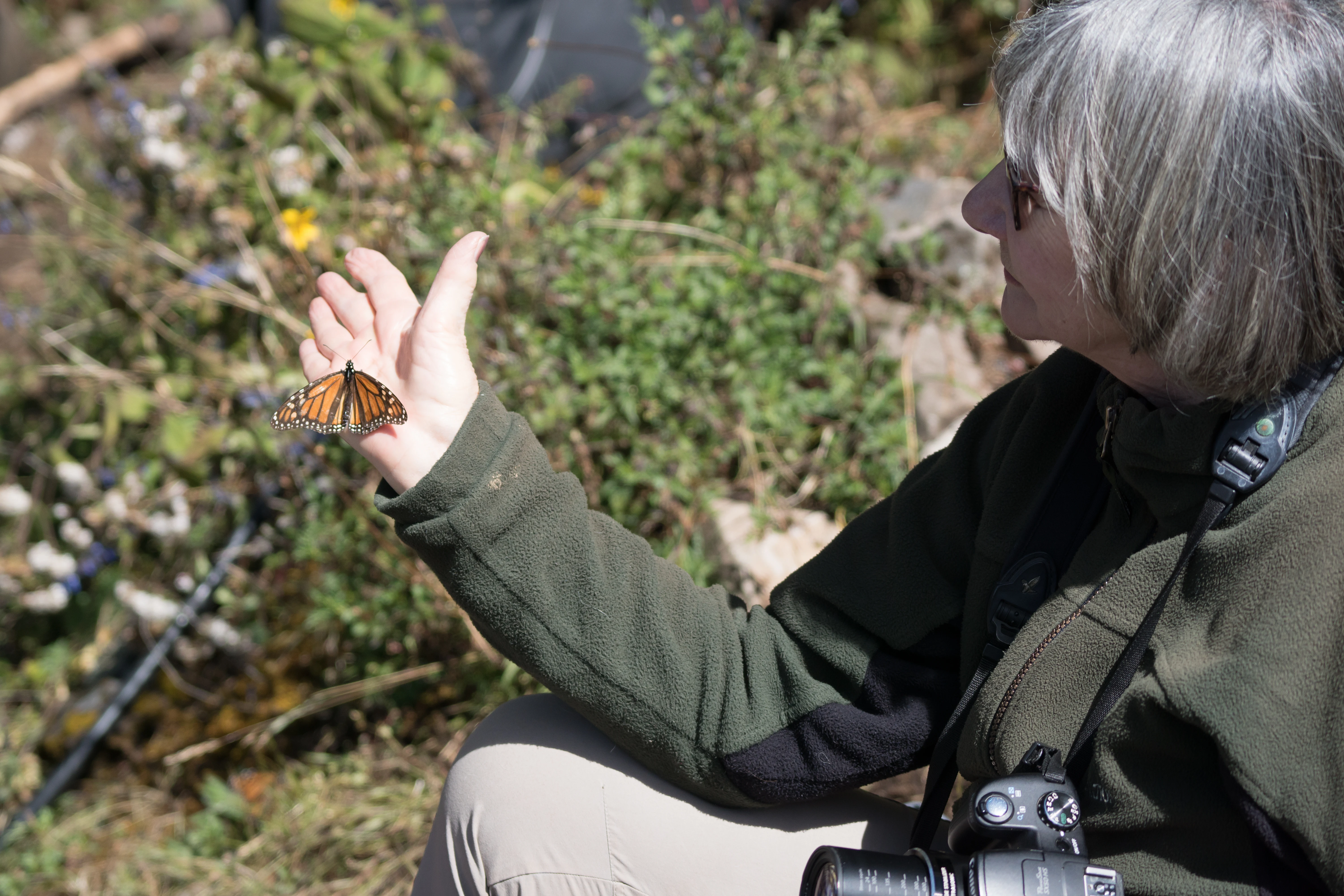 Marilyn & Monarch Butterfly, Sierra Chincua Monarch Reserve, Michoacan, Mexico — photo by Jim Bennett