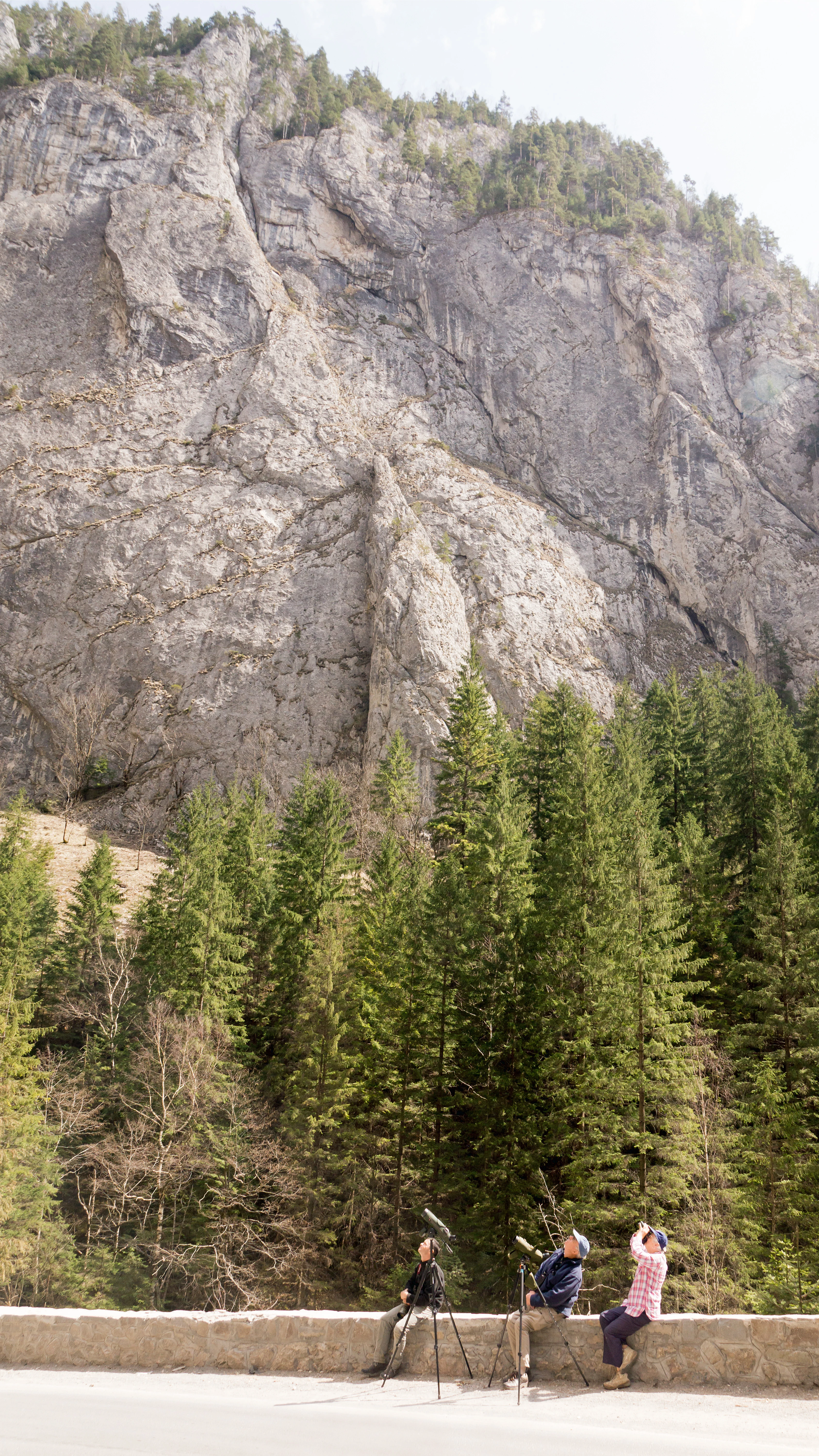 Bicaz Gorge, Romania — photo by Jim Bennett