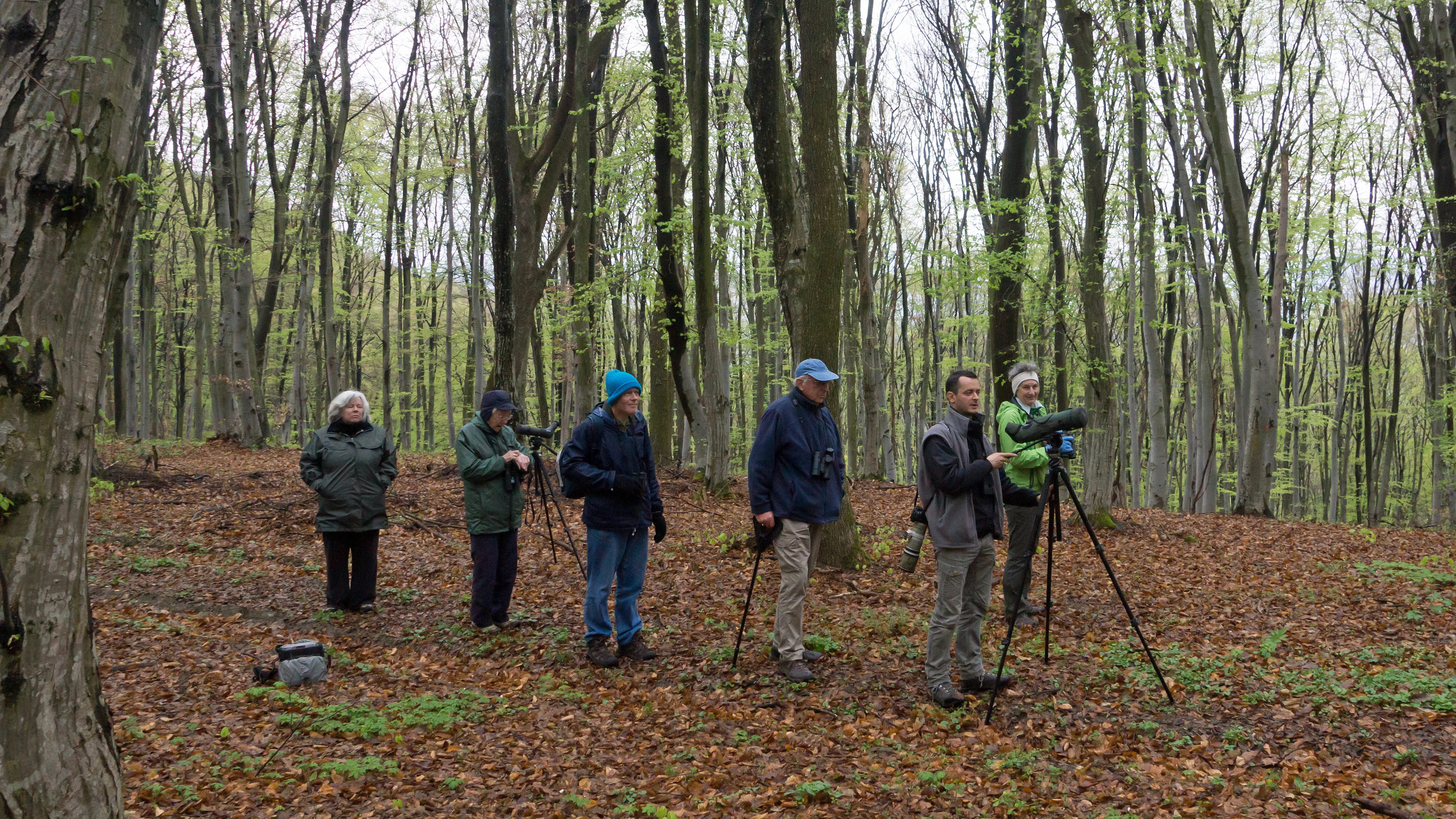 Caroline, Lorna, Andrew, Tim, Zoltan & Anne, Breite Woodland, Romania — photo by Jim Bennett