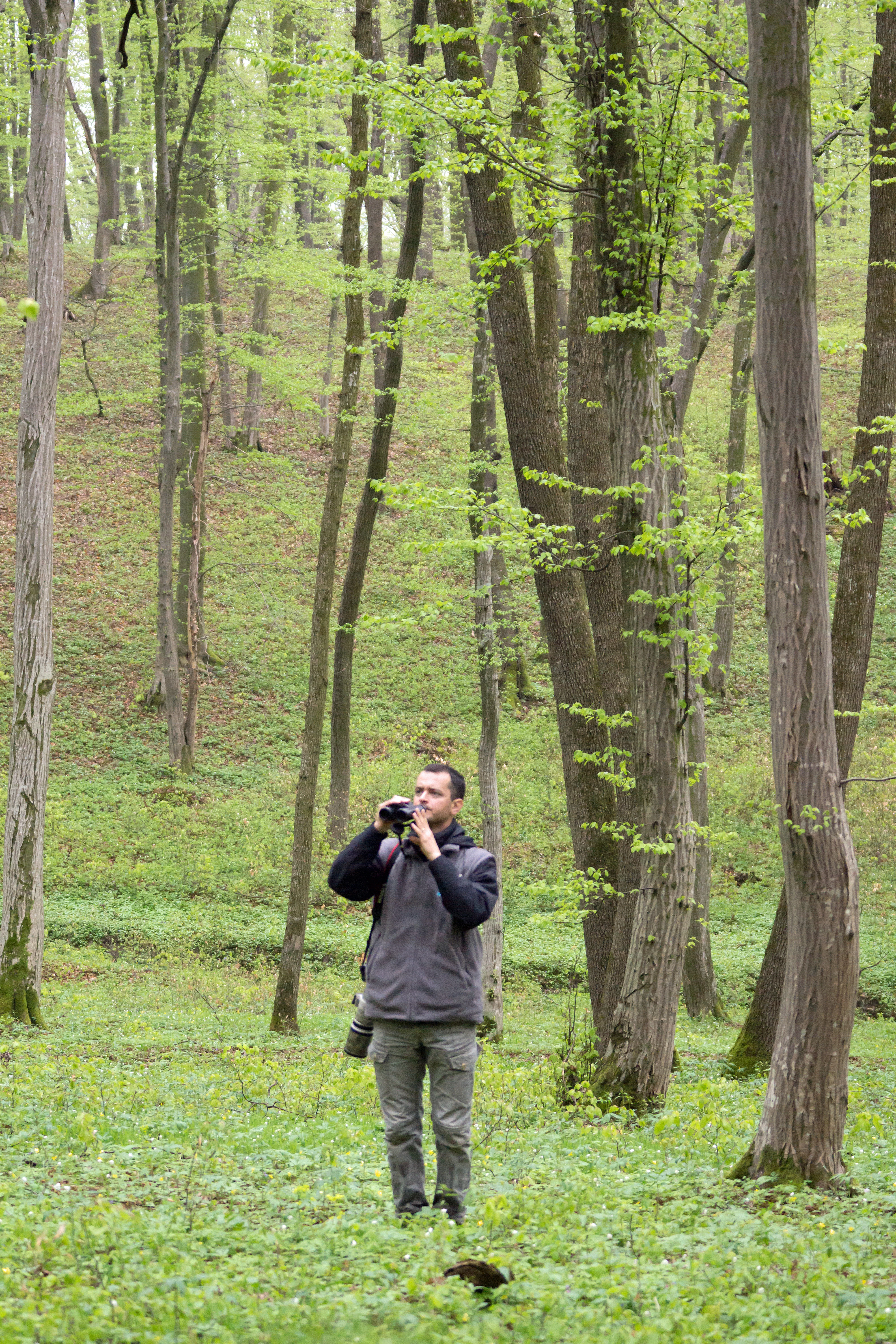 Zoltan Baczo. our guide, Breite Woodland, Sighisoara, Romania — photo by Jim Bennett