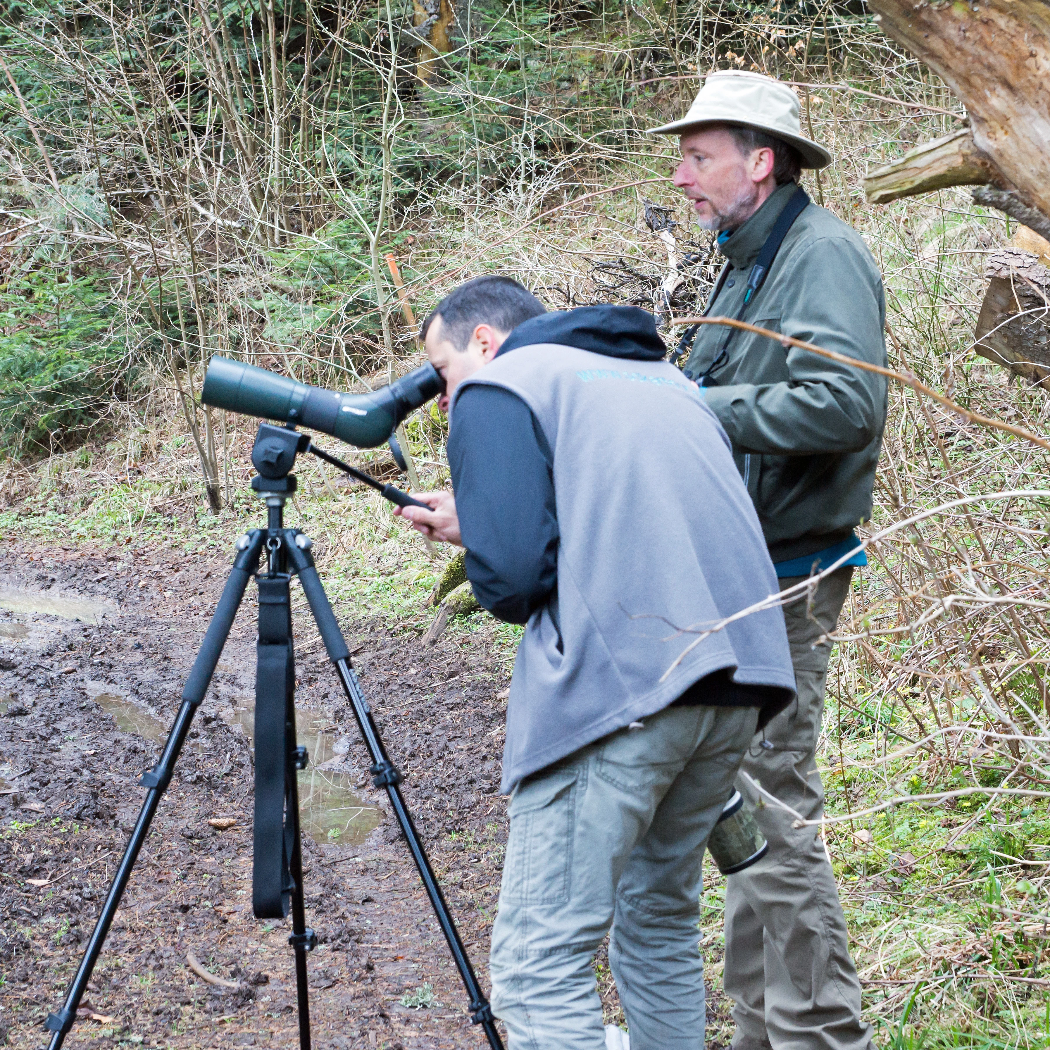 Zoltan & Jim looking at woodpeckers, Suseni Woodland, Romania — photo by Jim Bennett