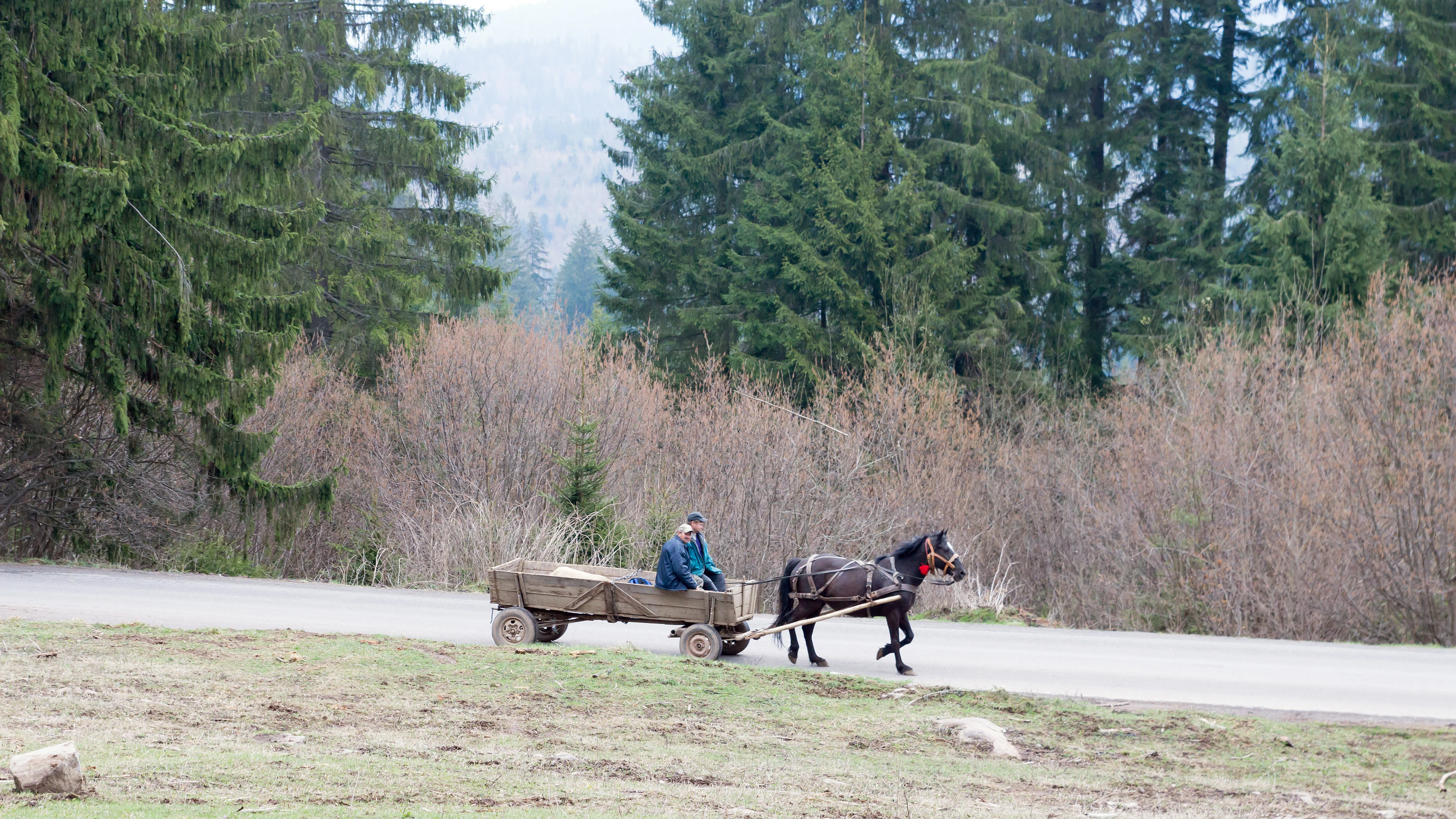 Horse drawn cart, Suseni Pass, Romania — photo by Jim Bennett