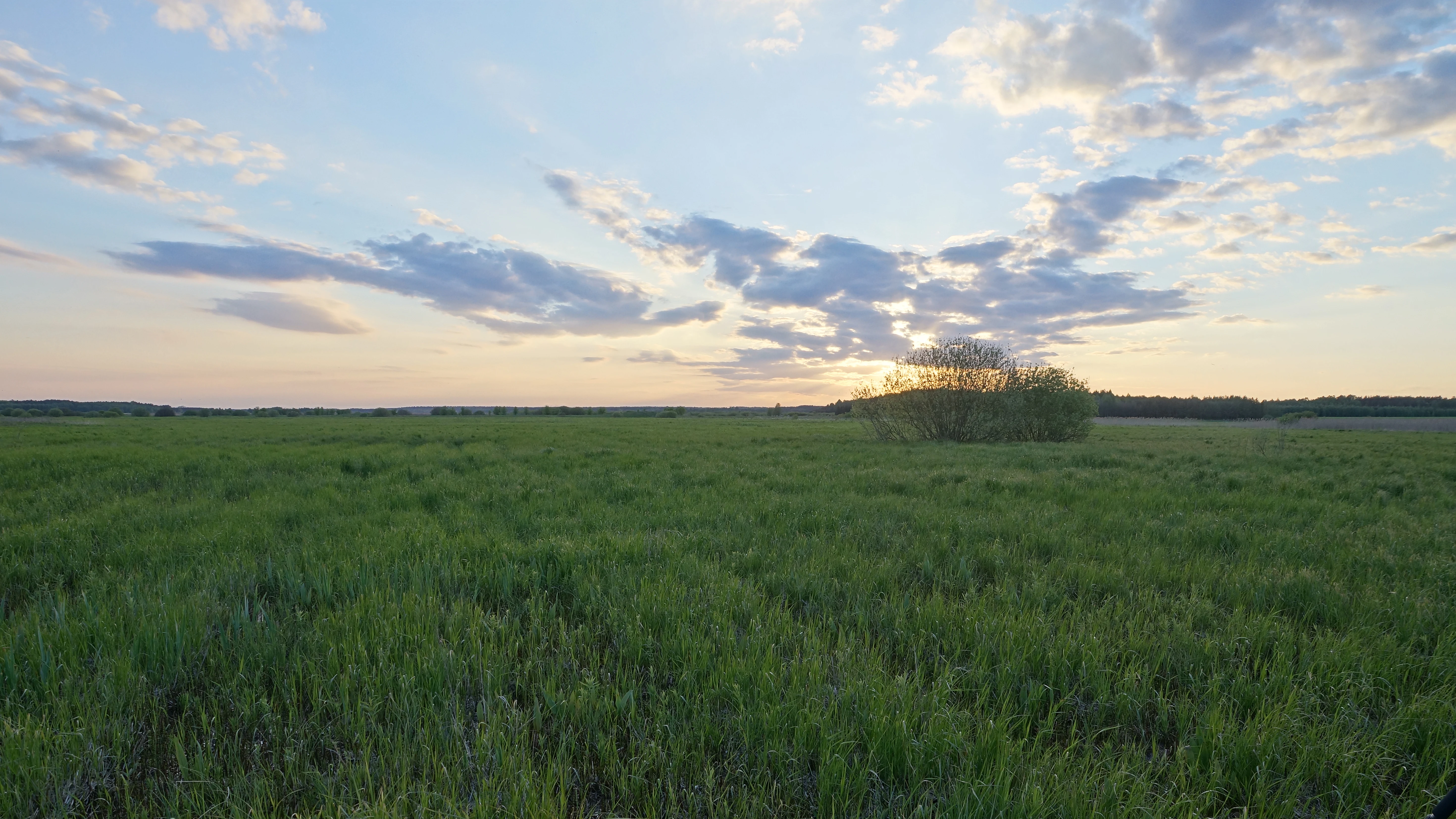 DSC04690, Narew River Valley, Poland — photo by Jim Bennett