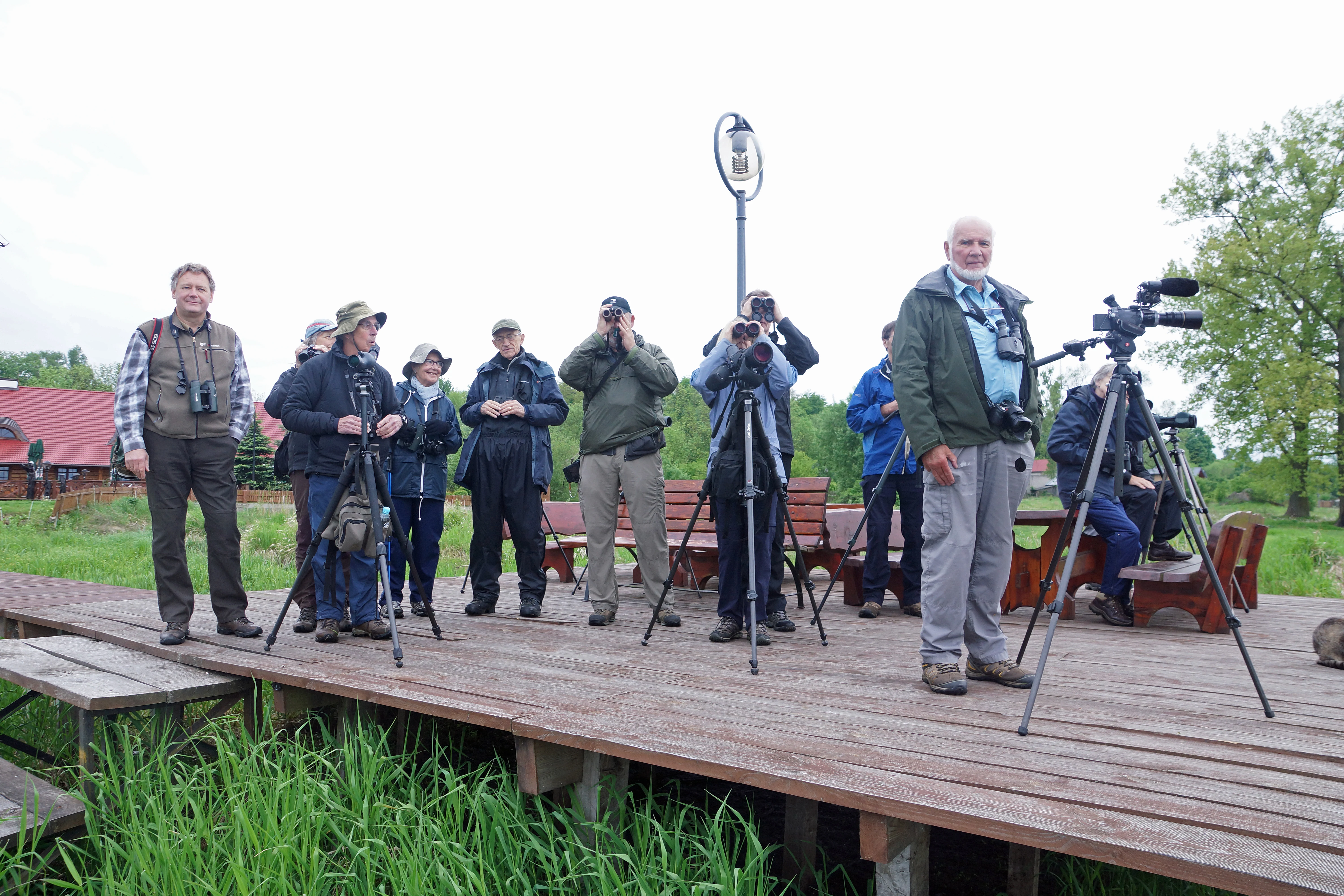 Birdwatching from our hotel jetty, Goniadz, Poland — photo by Jim Bennett