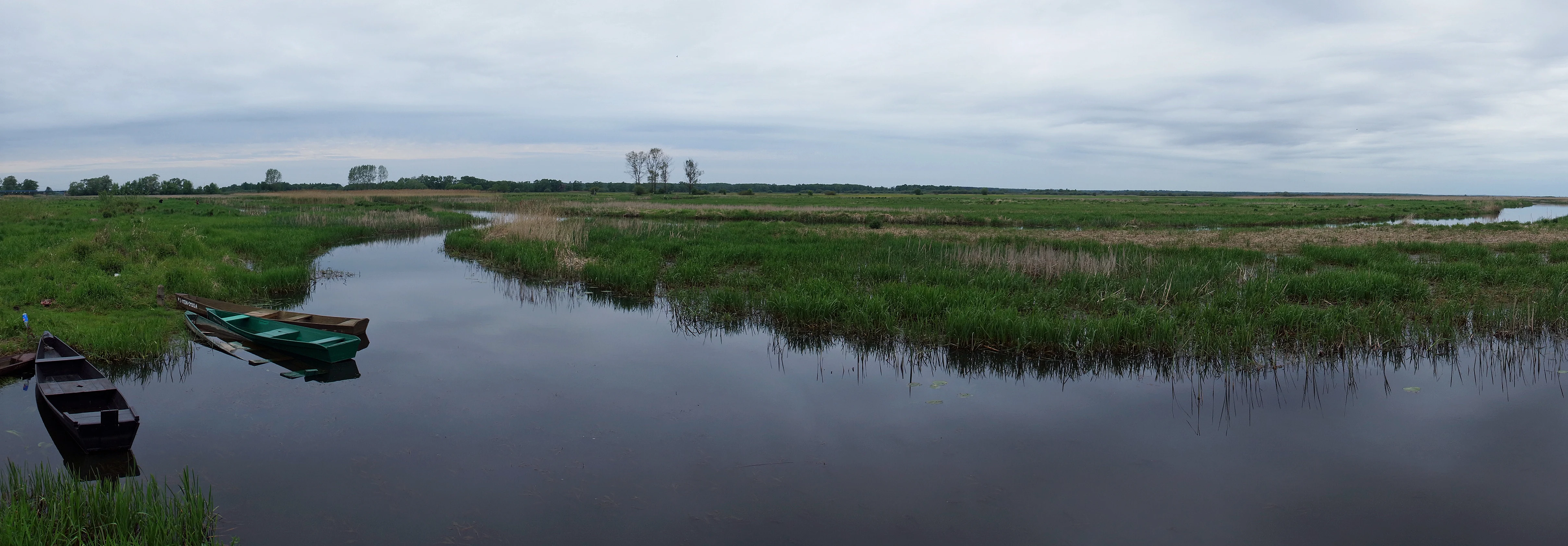 Biebrza River, viewed from our hotel, Goniadz, Goniadz, Poland — photo by Jim Bennett