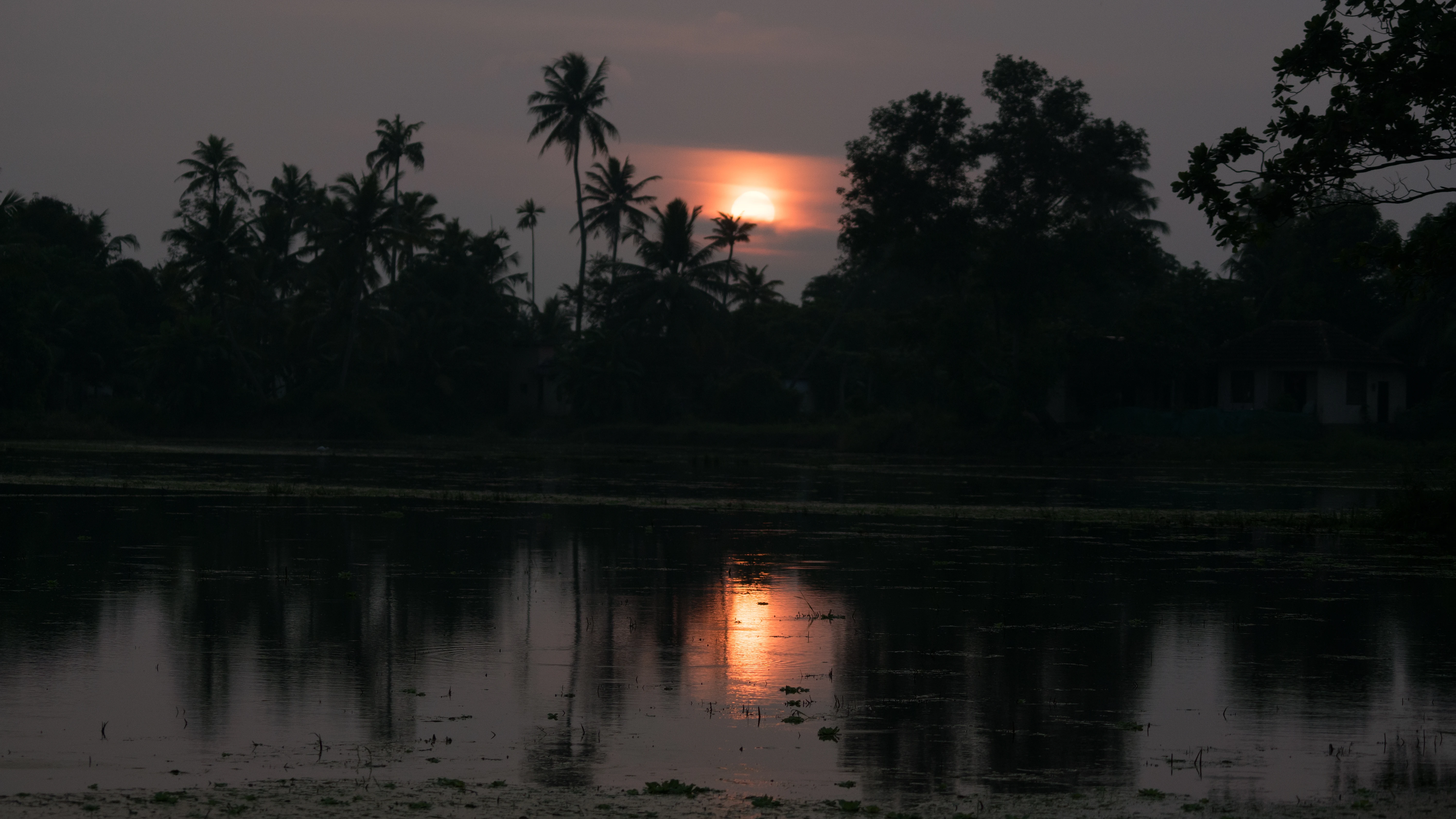DSC05018, Kerala, India — photo by Jim Bennett