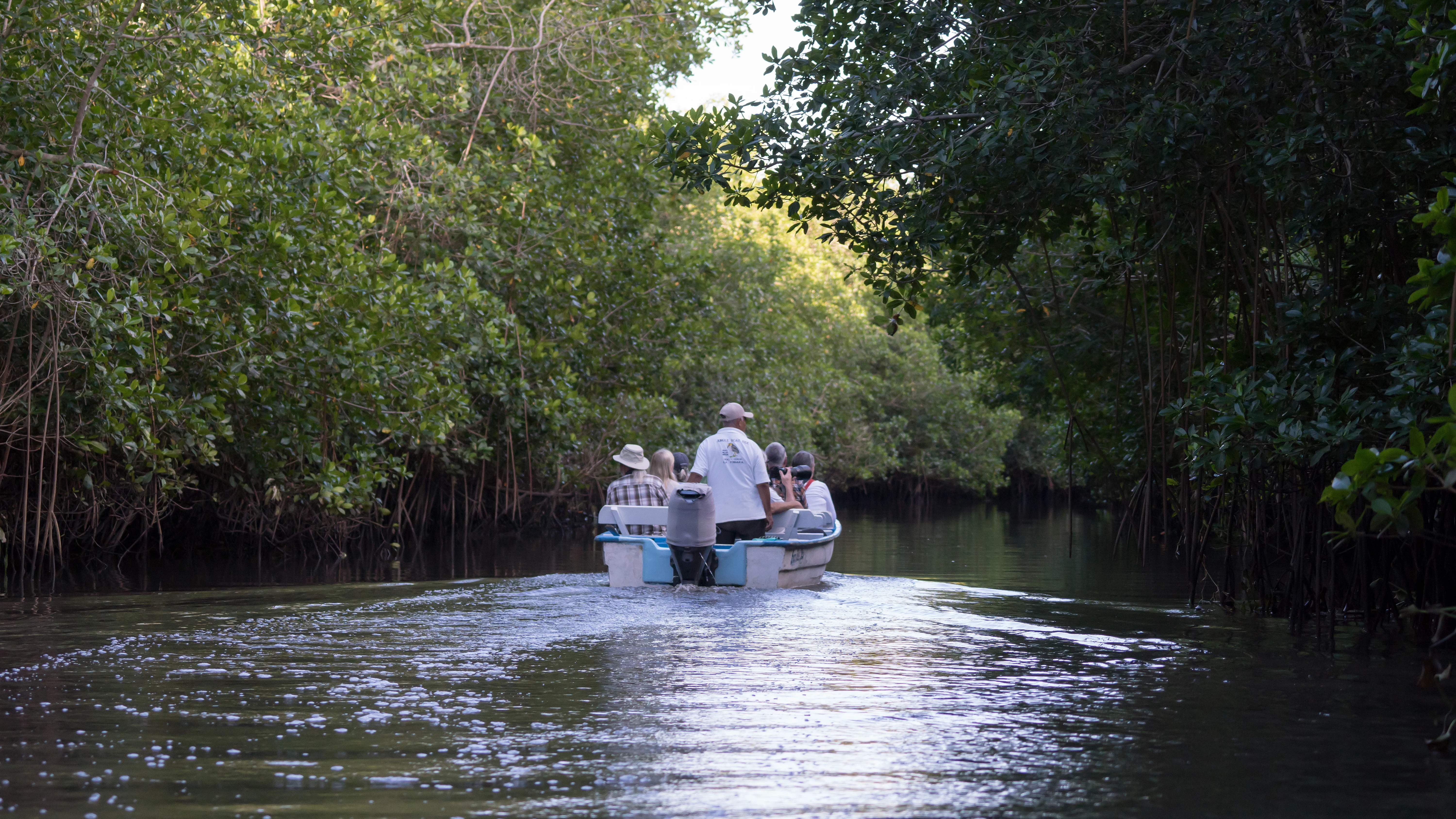 DSC05127, San Blas Mangroves, Nayarit, Mexico — photo by Jim Bennett