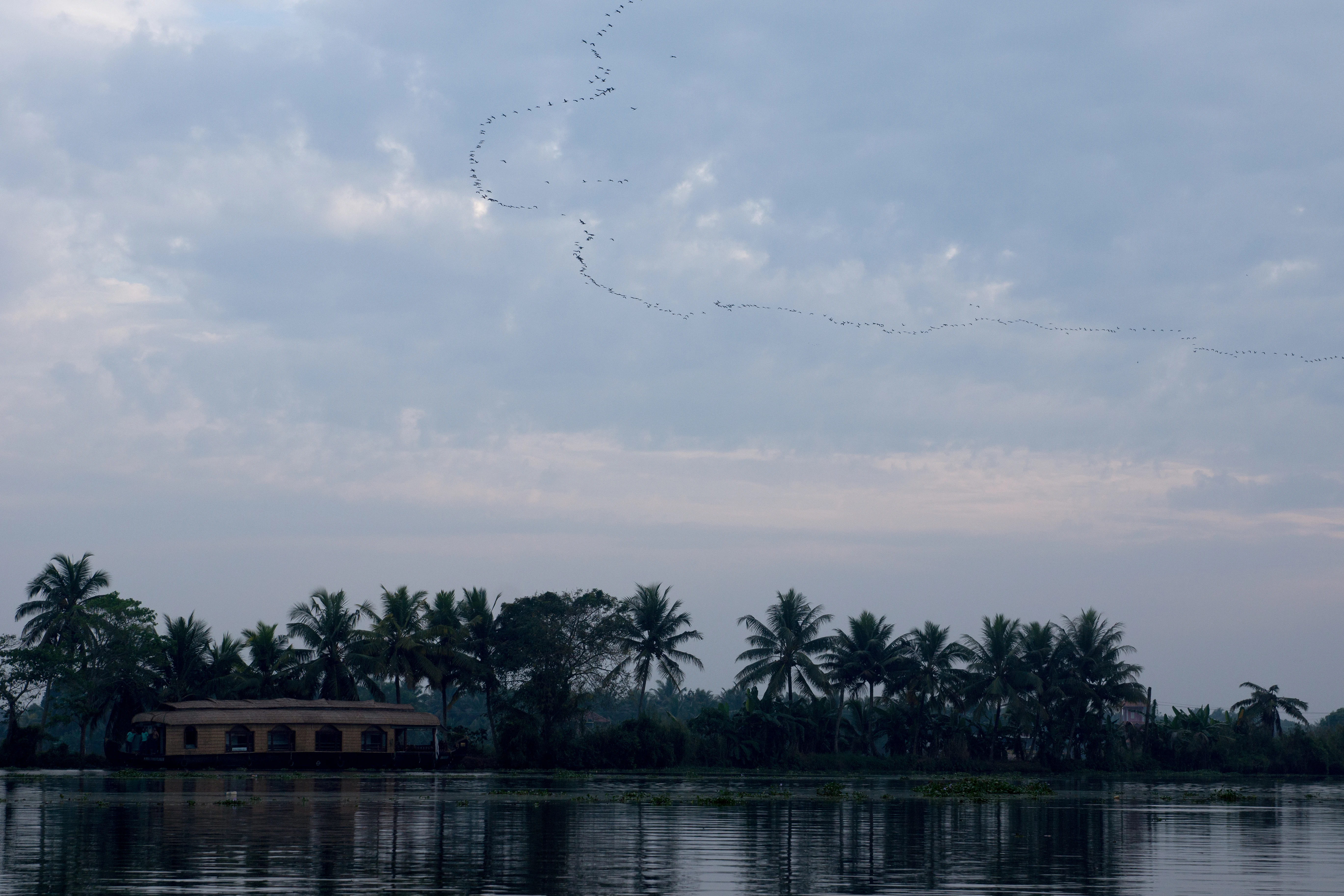 DSC05936, Kerala, India — photo by Jim Bennett