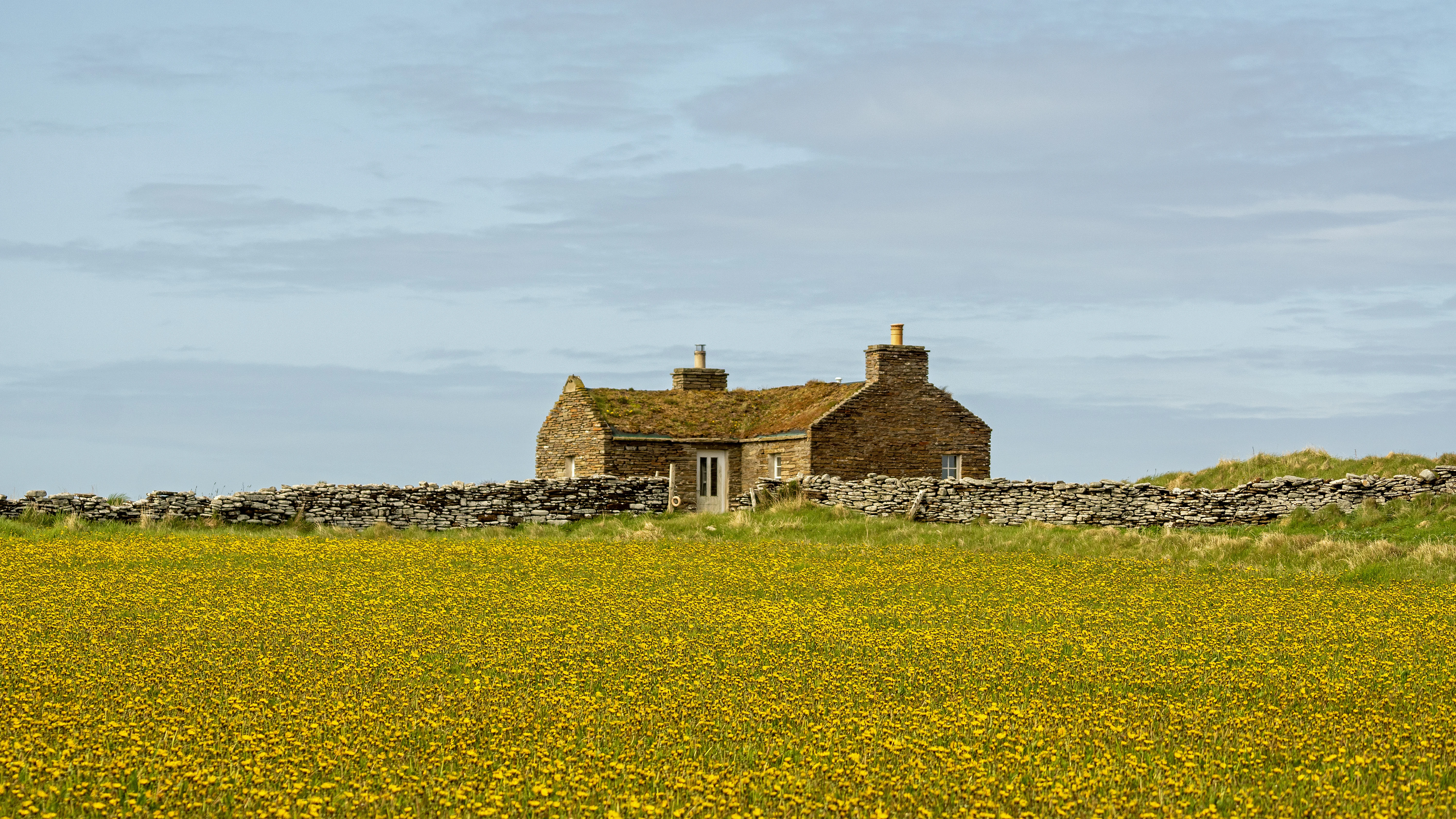 Landscape, North Ronaldsay, UK — photo by Jim Bennett