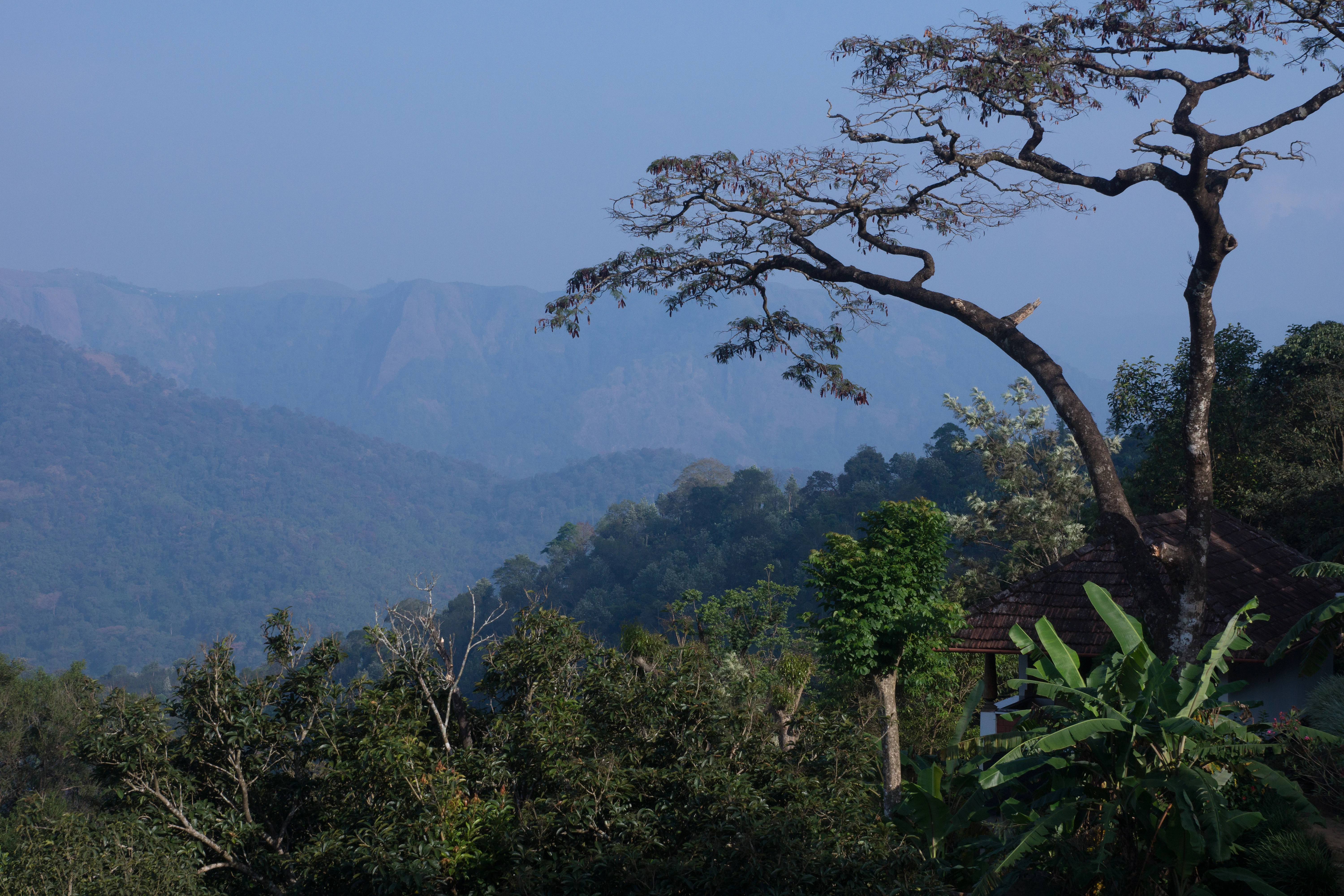 DSC06036, Kerala, India — photo by Jim Bennett