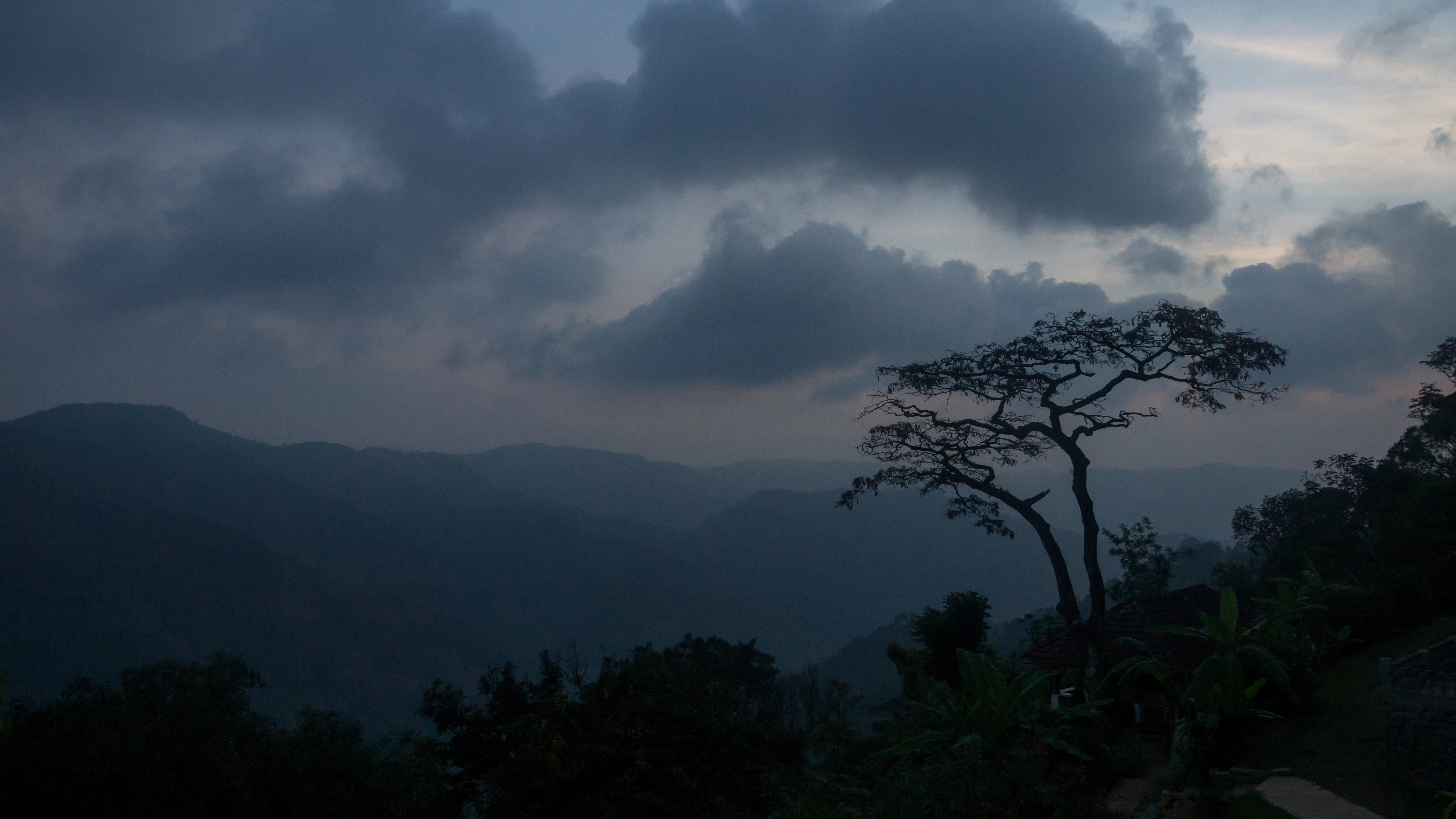 DSC06115, Kerala, India — photo by Jim Bennett