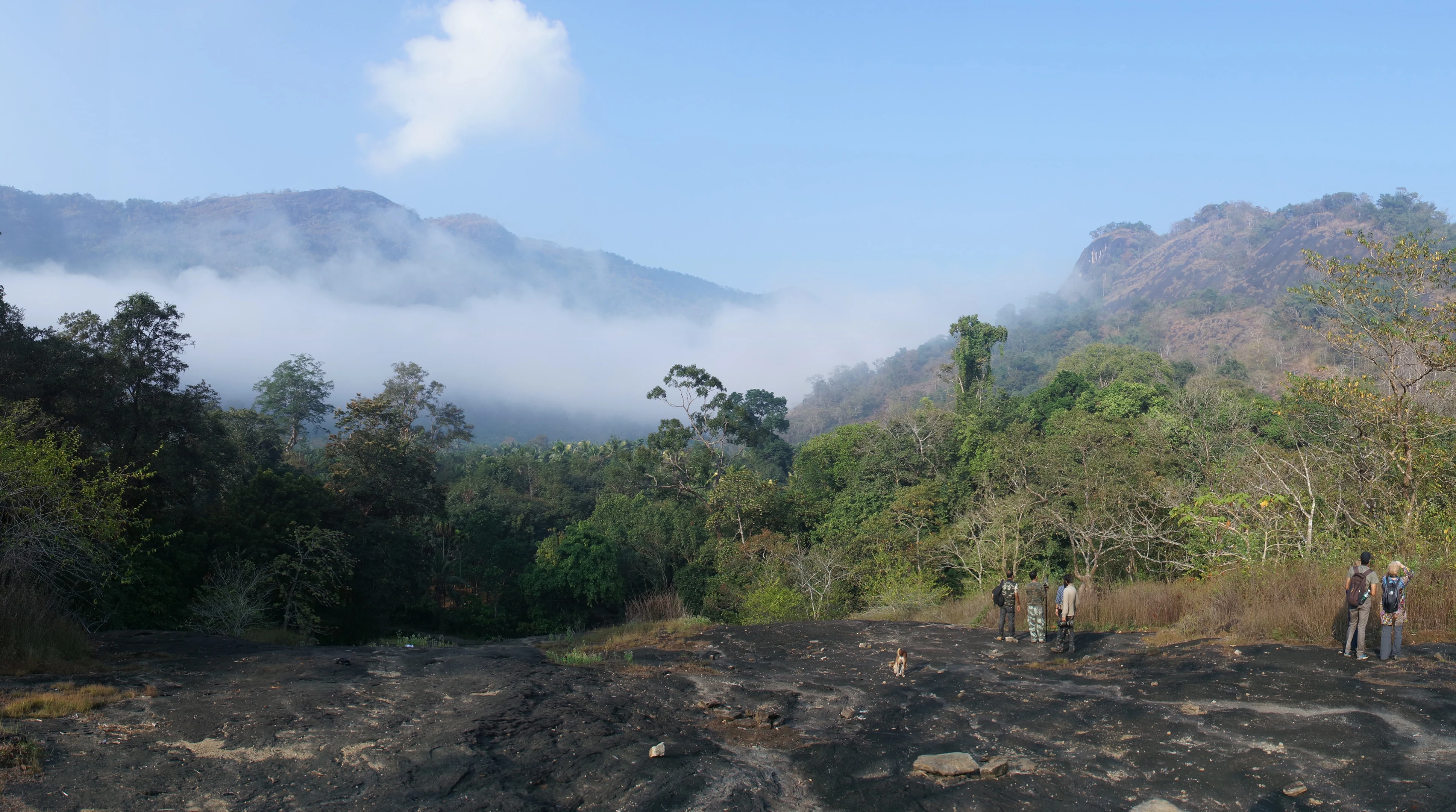 Thattekkad Bird Sanctuary, Thattekkad Bird Sanctuary, Kerala, India — photo by Jim Bennett