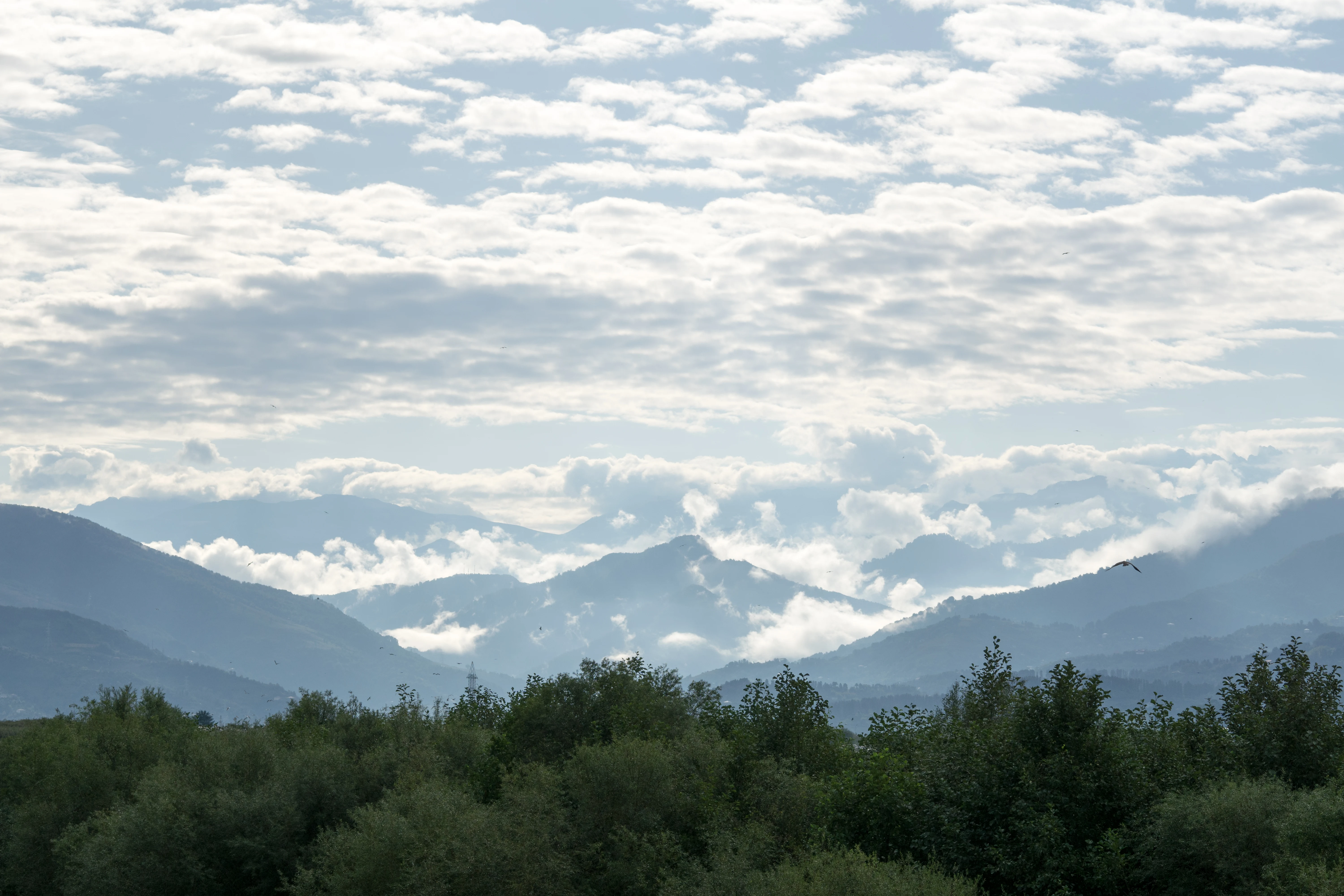 View inland, Chorokhi Delta, Georgia — photo by Jim Bennett