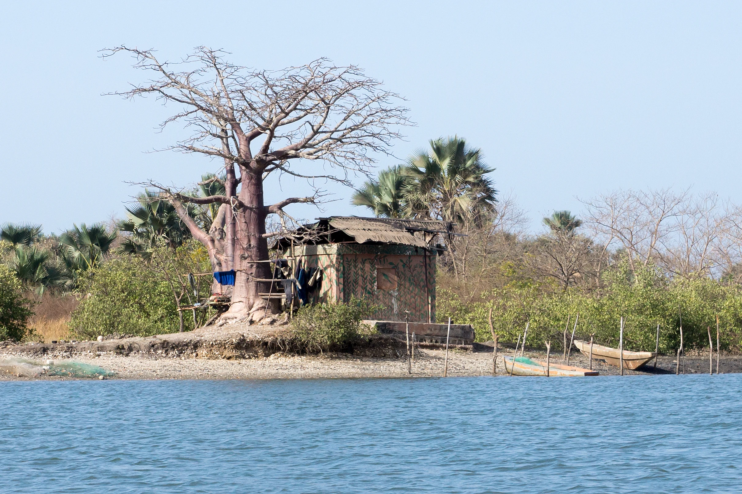 DSC07701, The Gambia — photo by Jim Bennett