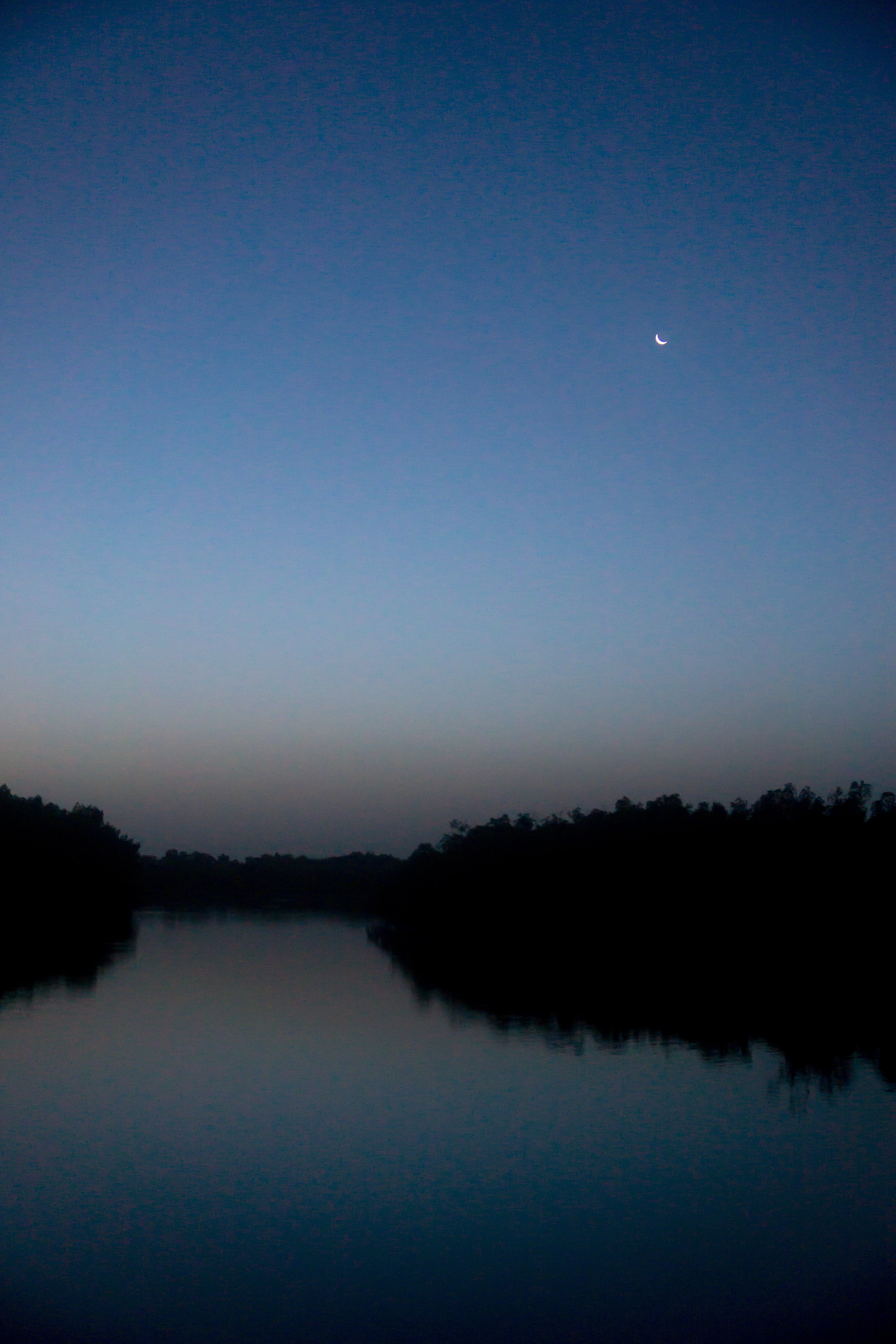 Pre-dawn view from our lodge, The Gambia — photo by Jim Bennett