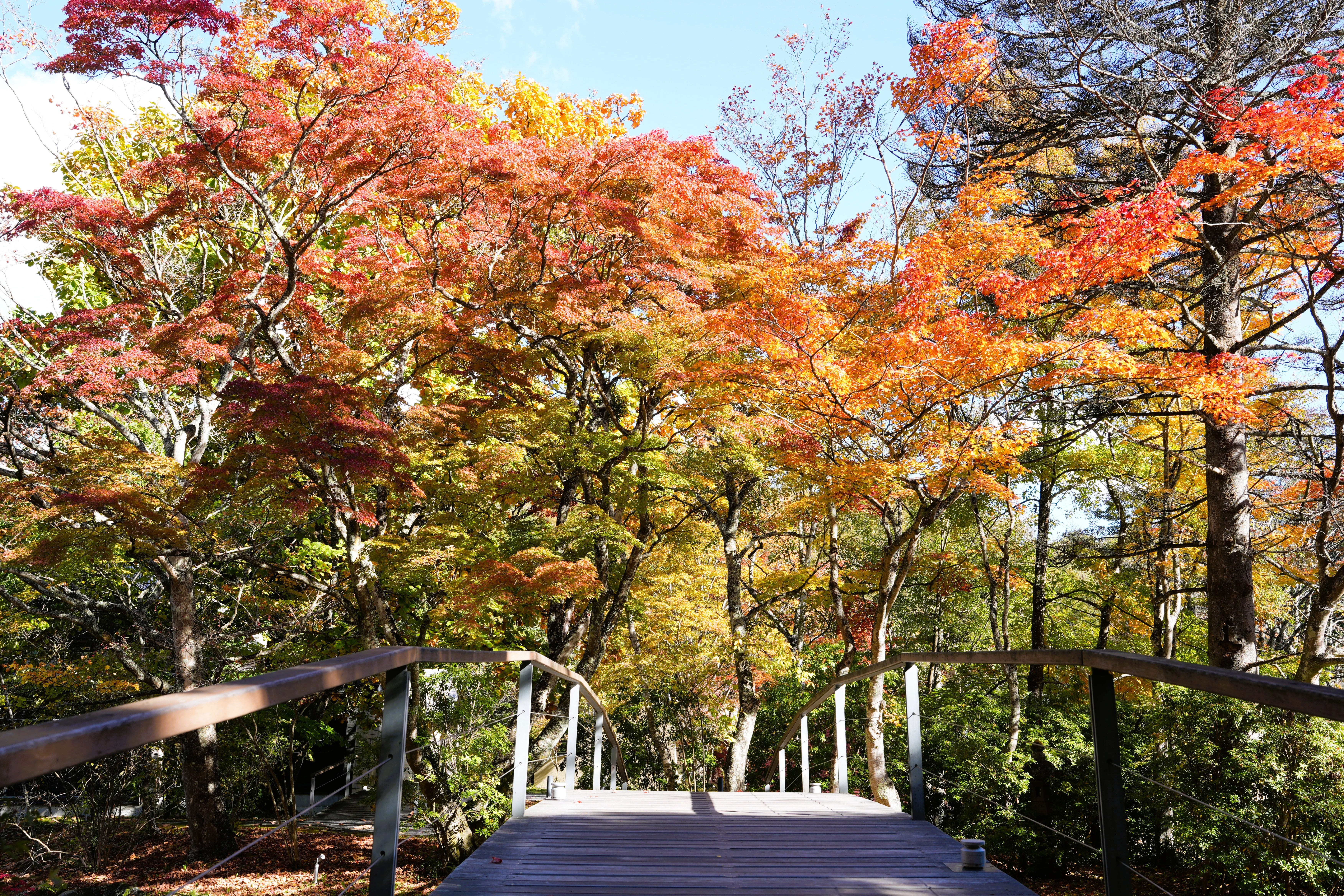 DSC08019, Hoshinoya Karuizawa, Japan — photo by Jim Bennett