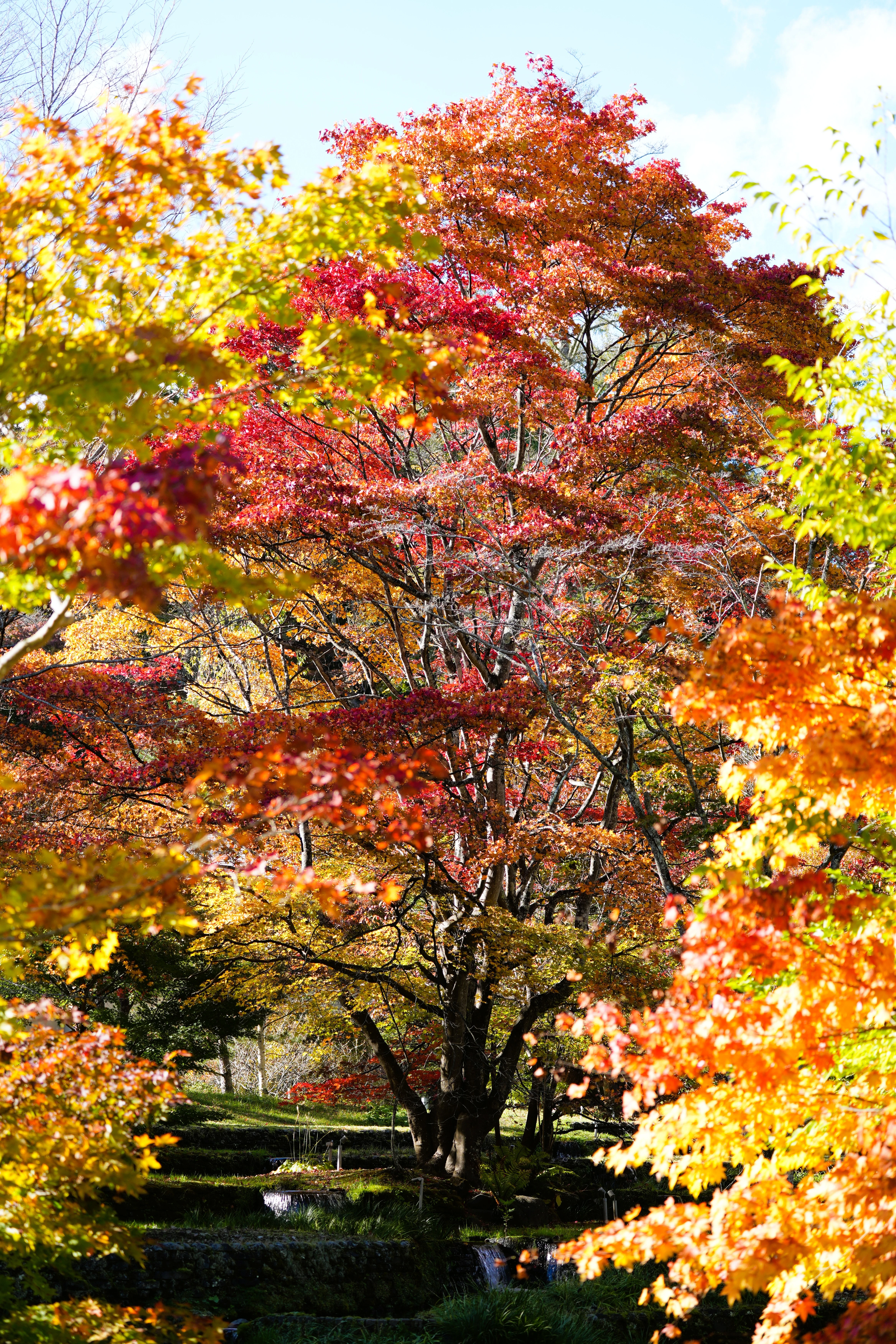 DSC08039, Hoshinoya Karuizawa, Japan — photo by Jim Bennett
