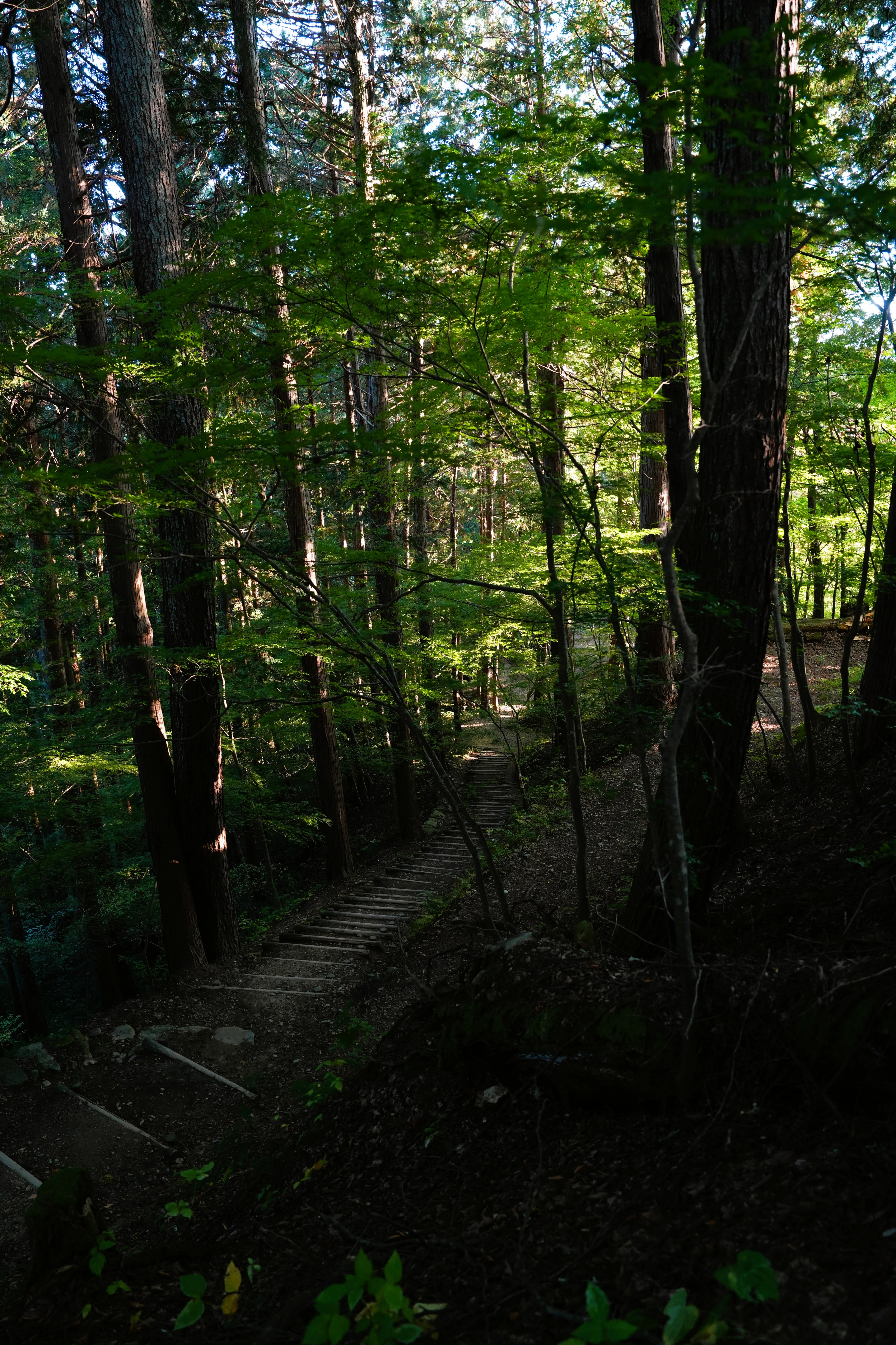 DSC08255, Shiroyama Park, Takayama, Japan — photo by Jim Bennett