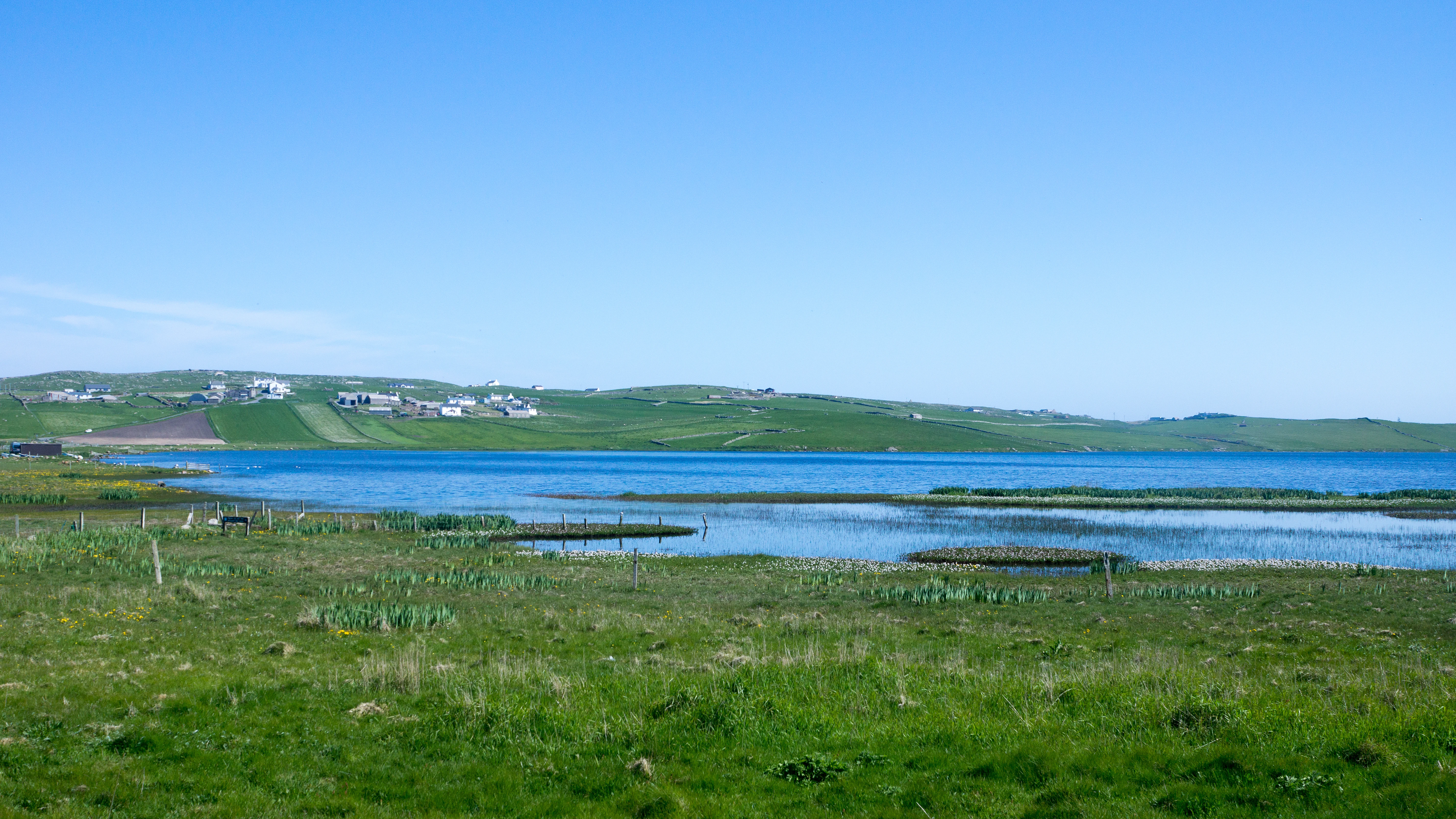 DSC08556, Shetland, UK — photo by Jim Bennett