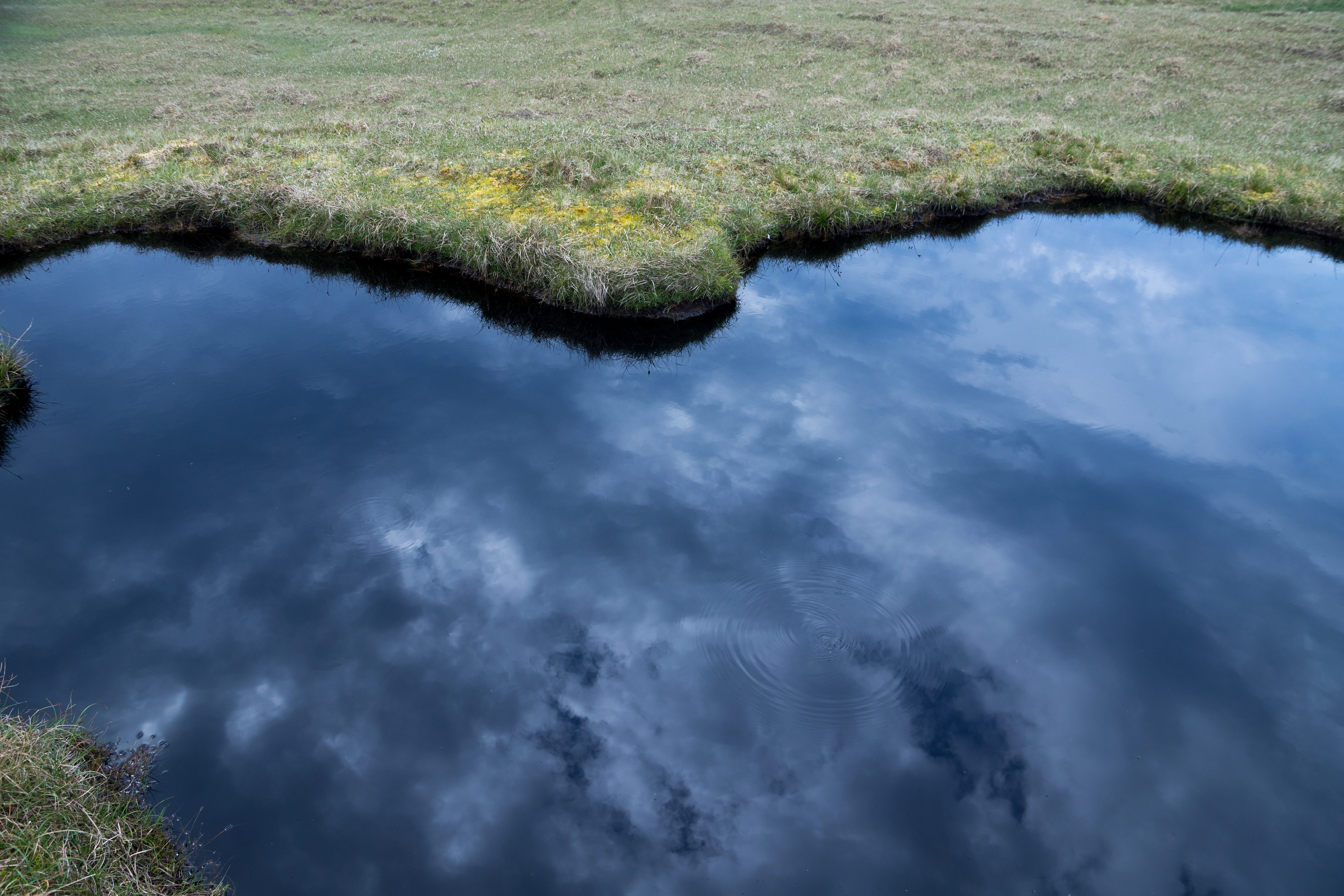 Peat bog, Hermaness, Unst, UK — photo by Jim Bennett