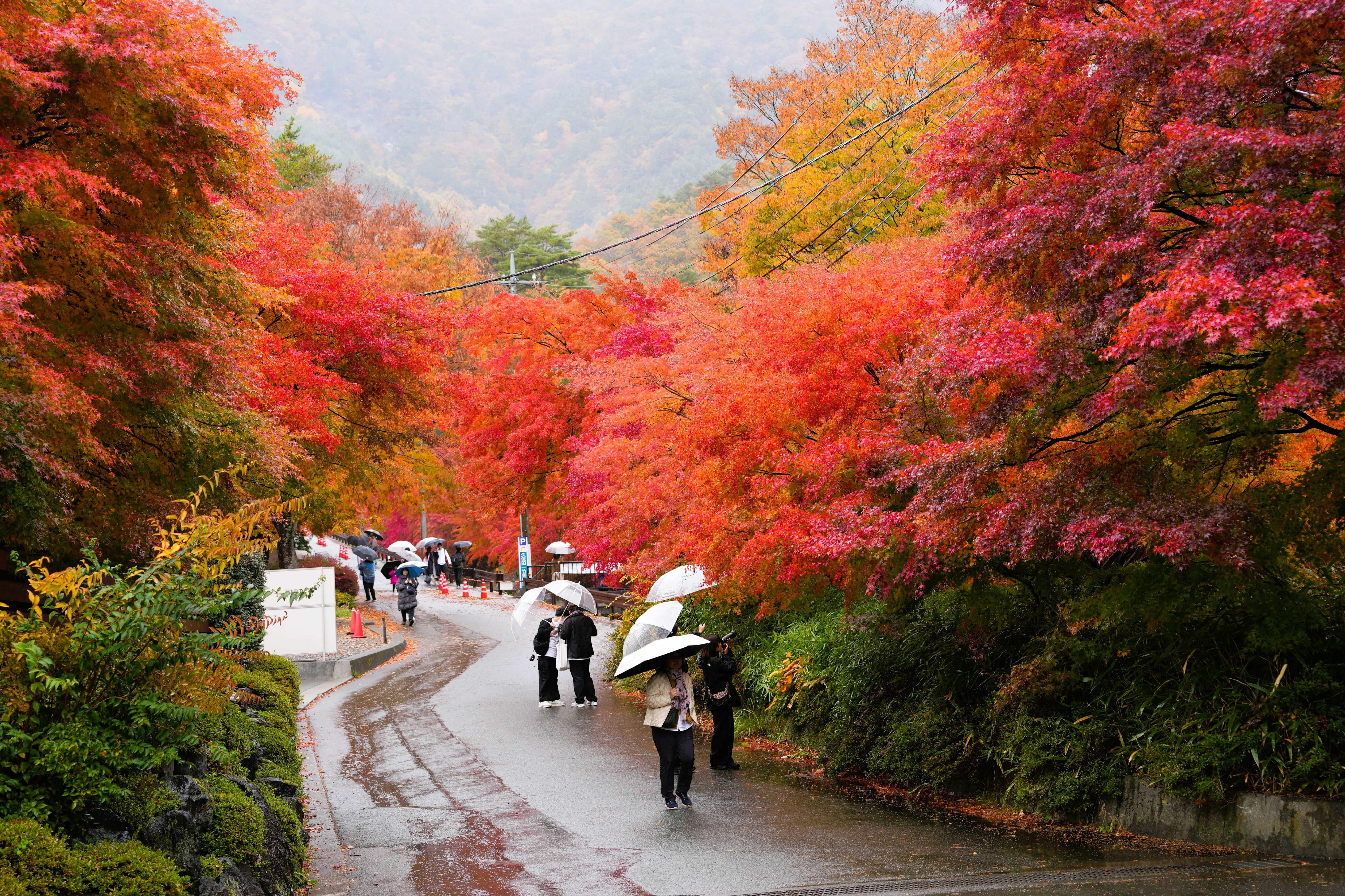DSC09102 2, Kawaguchiko, Japan — photo by Jim Bennett