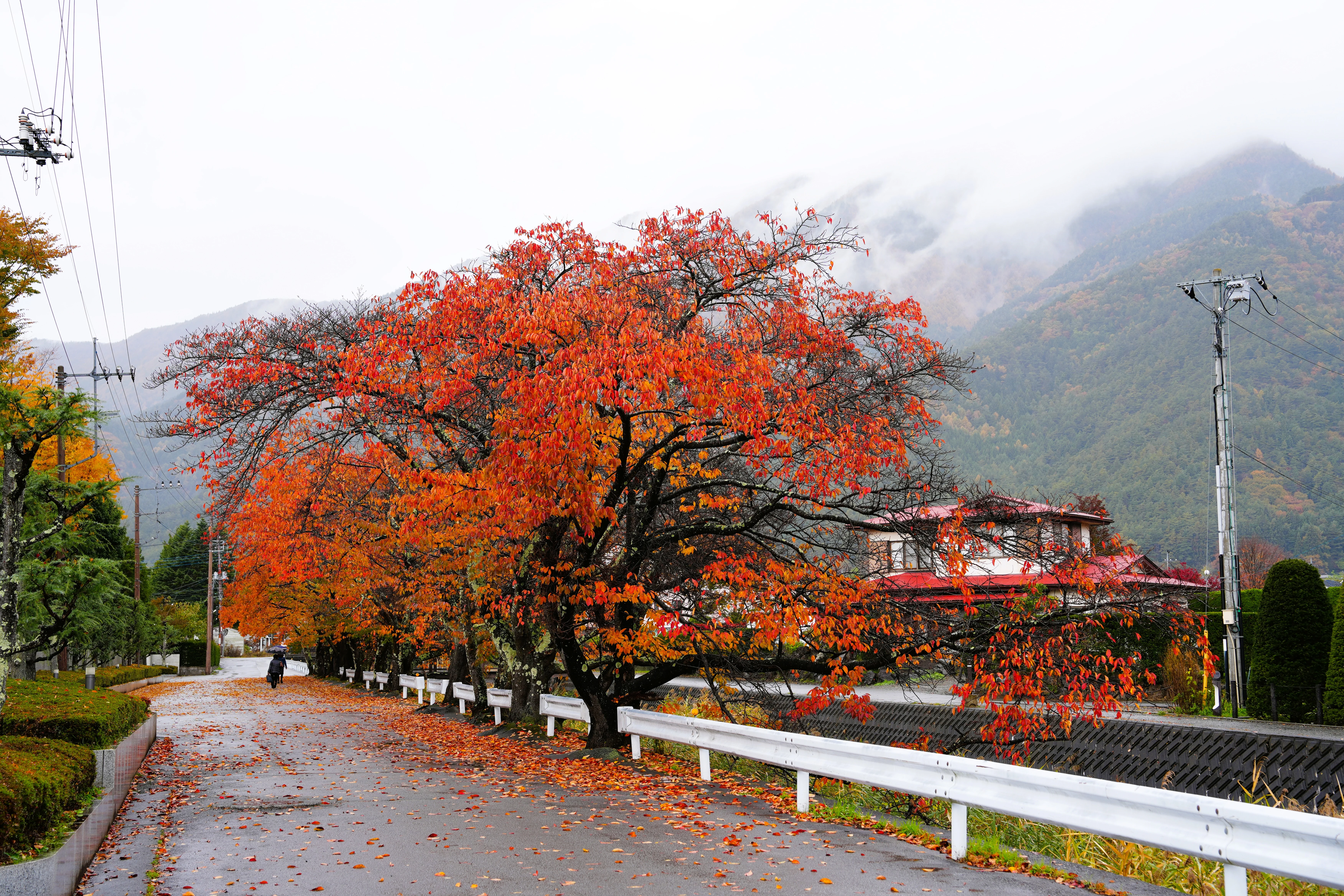 DSC09124, Kawaguchiko, Japan — photo by Jim Bennett