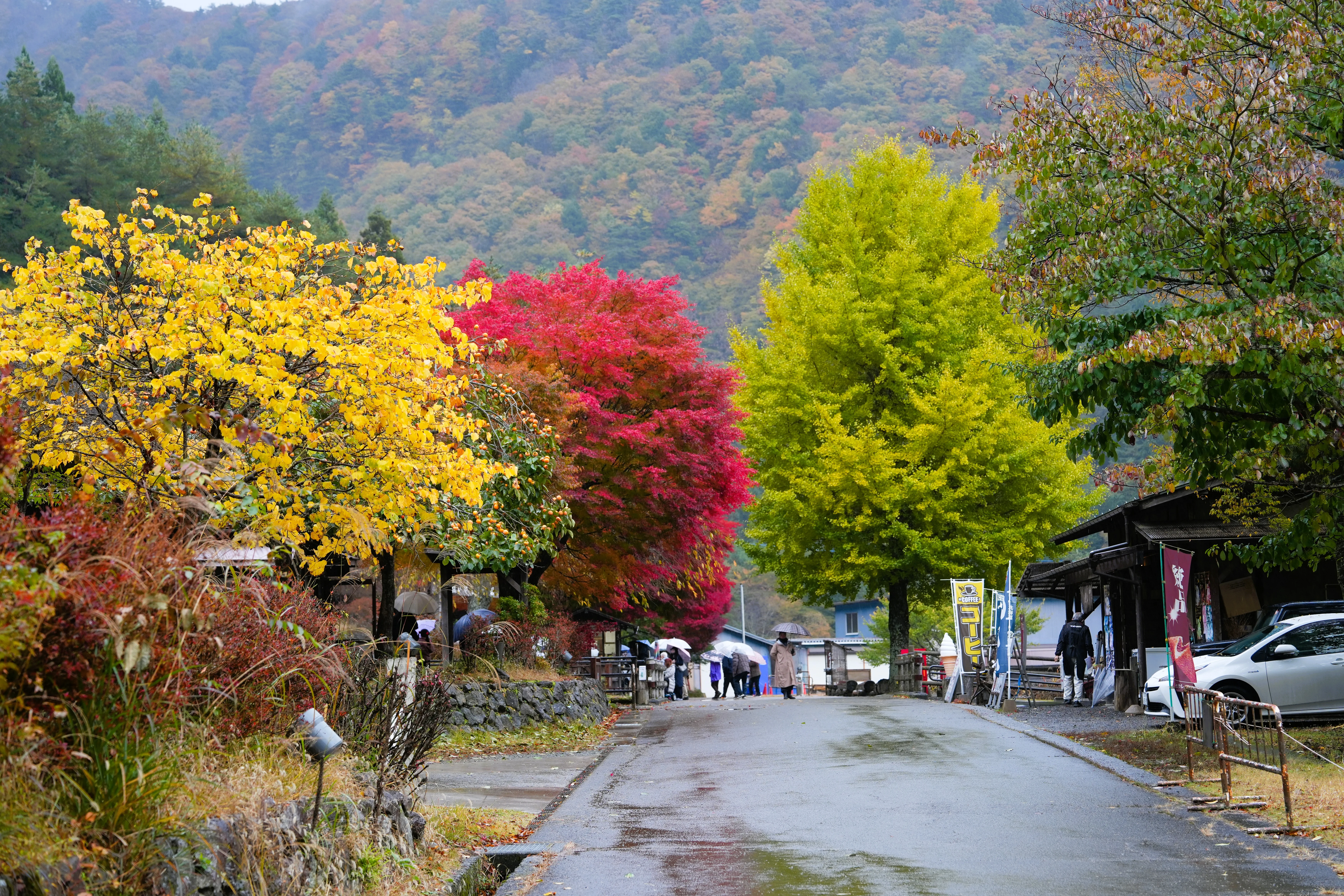 DSC09136 2, Kawaguchiko, Japan — photo by Jim Bennett